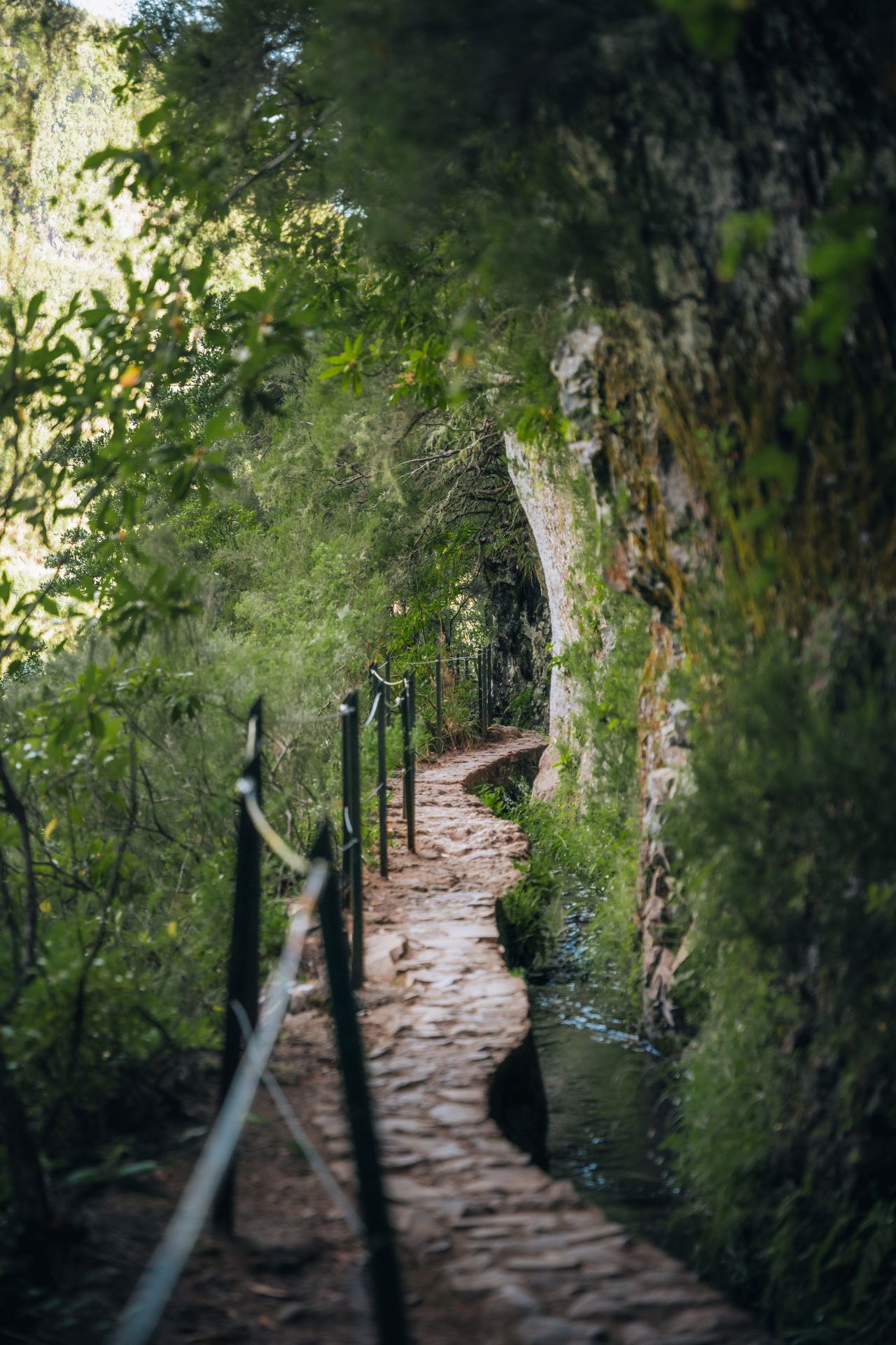 PR9 Queimadas Caldeirão Verde Levada Traslado Senderismo
