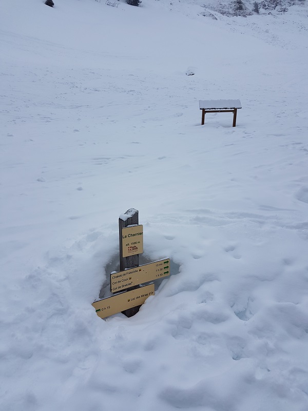 8 Days / 7 nights - Snowshoeing Adventure in Germany & Austria - Photo 2