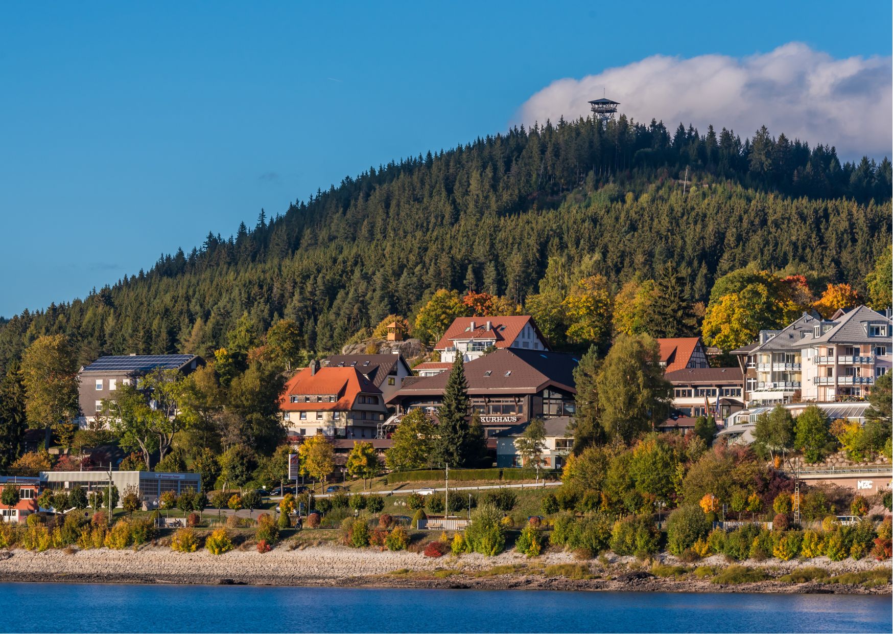 Lucerne: Private Car Tour to Rhine Falls, Titisee & Black Forest - Photo 8