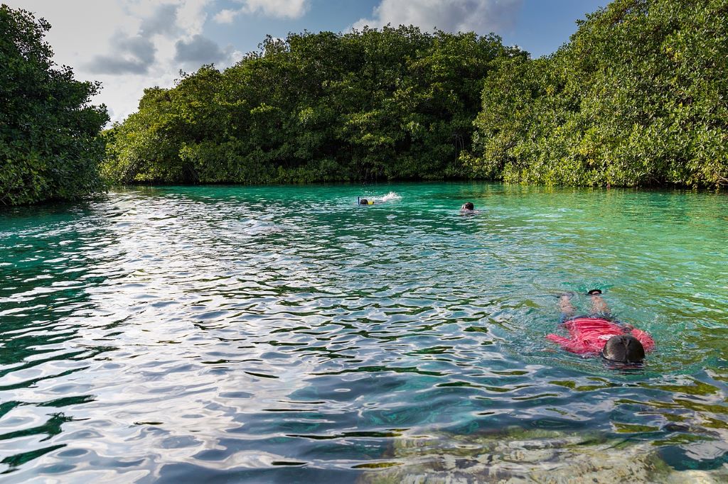 Tour de Cenotes en la Riviera Maya: Explora Yucatán y Quintana Roo (9 días) 4
