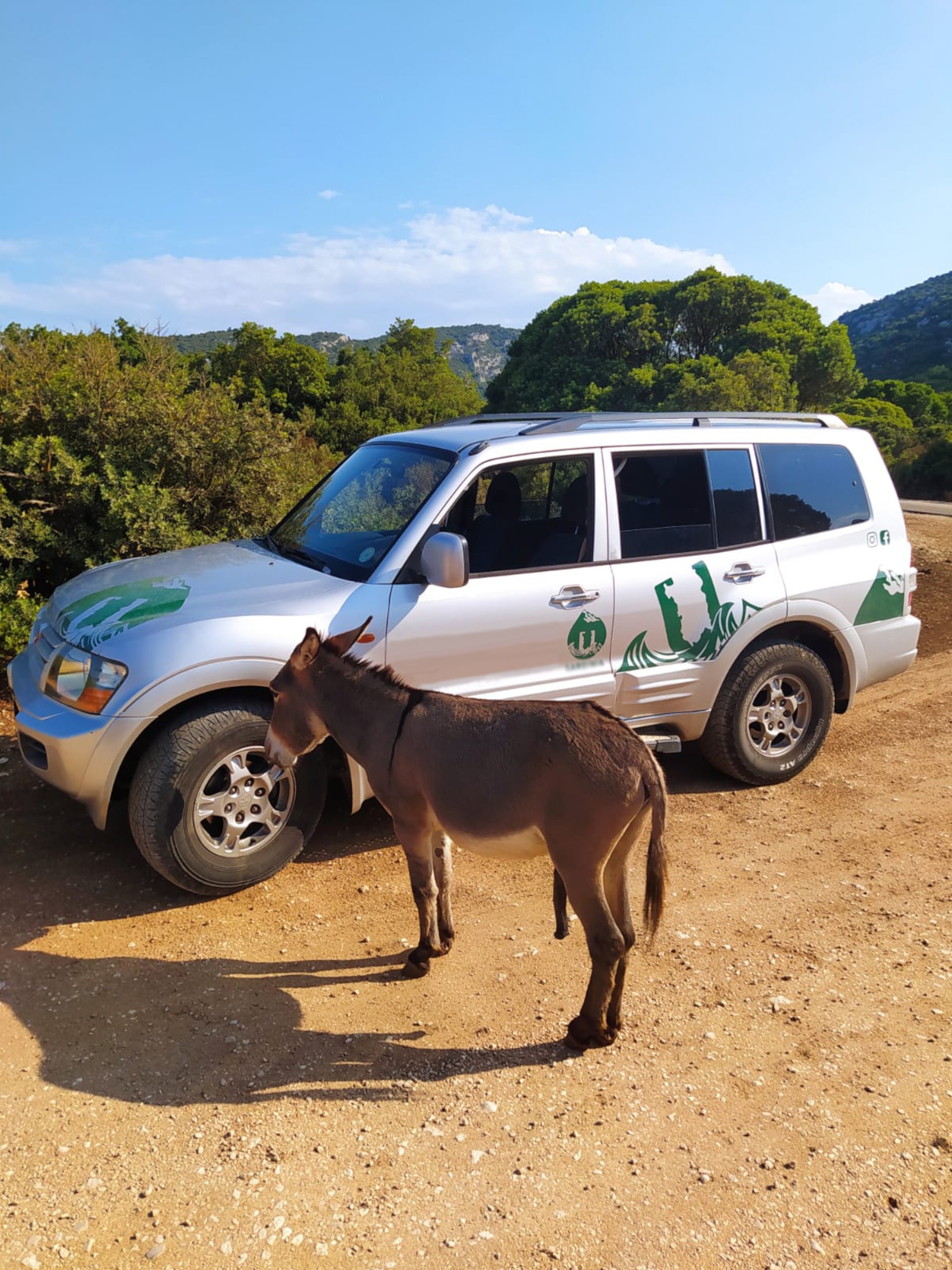 From Arbatax: 4-hour jeep tour of the Golgo Plateau in Baunei - Photo 2