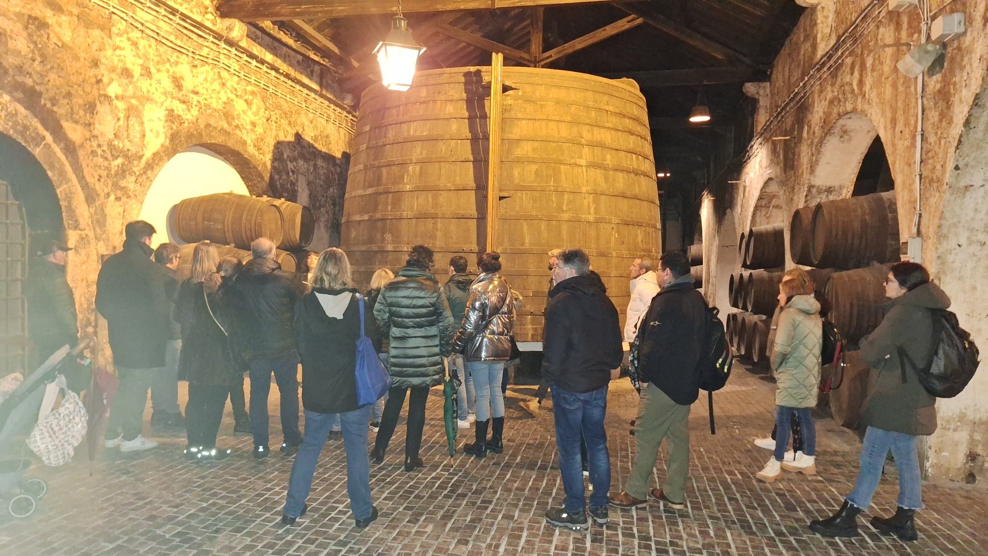 Private Porto Full-Day Tour: Cathedral, Lello and Wine Tastings - Photo 4