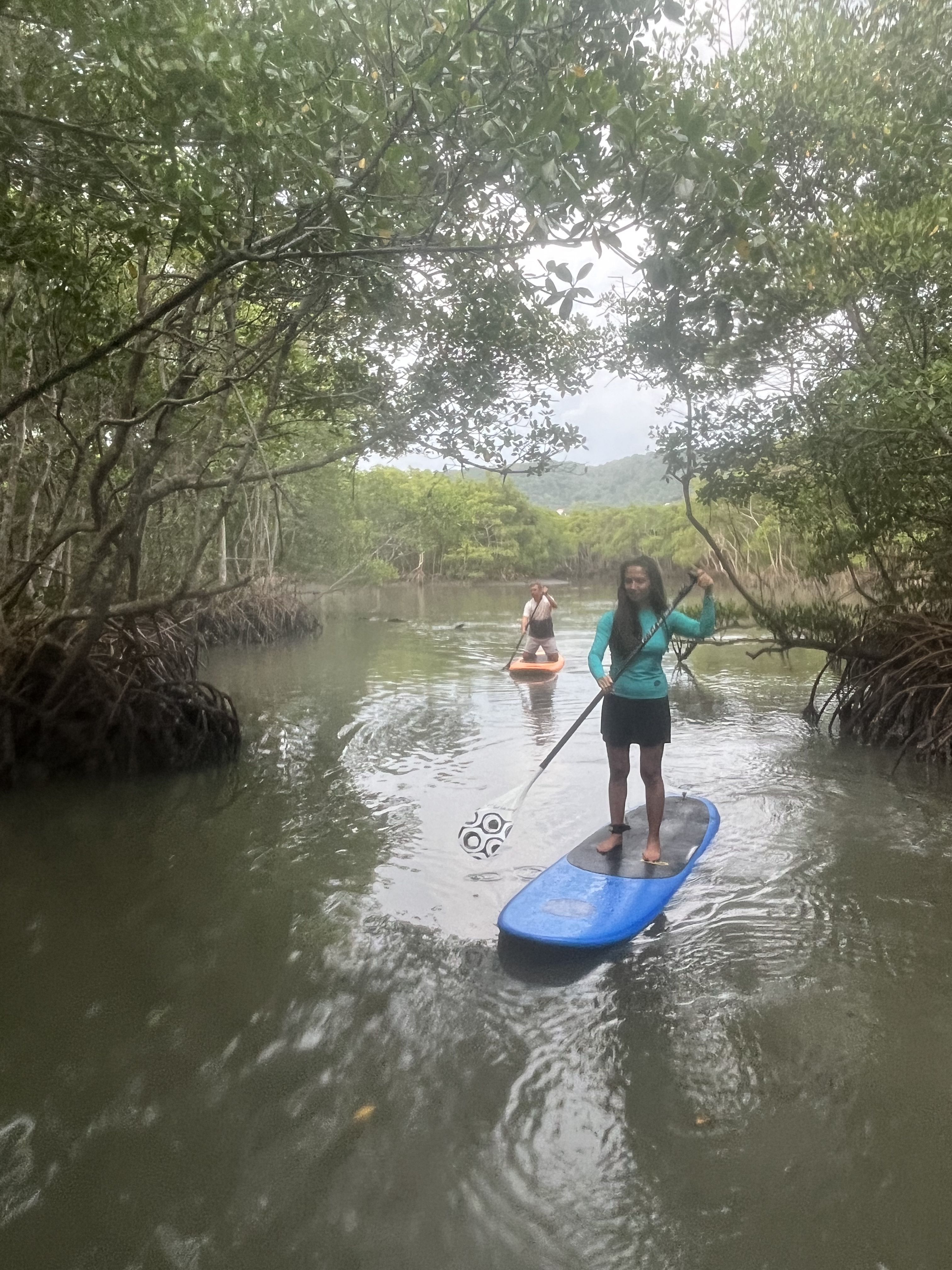 SUP en manglares y experiencia de vida silvestre en el lado oeste del río