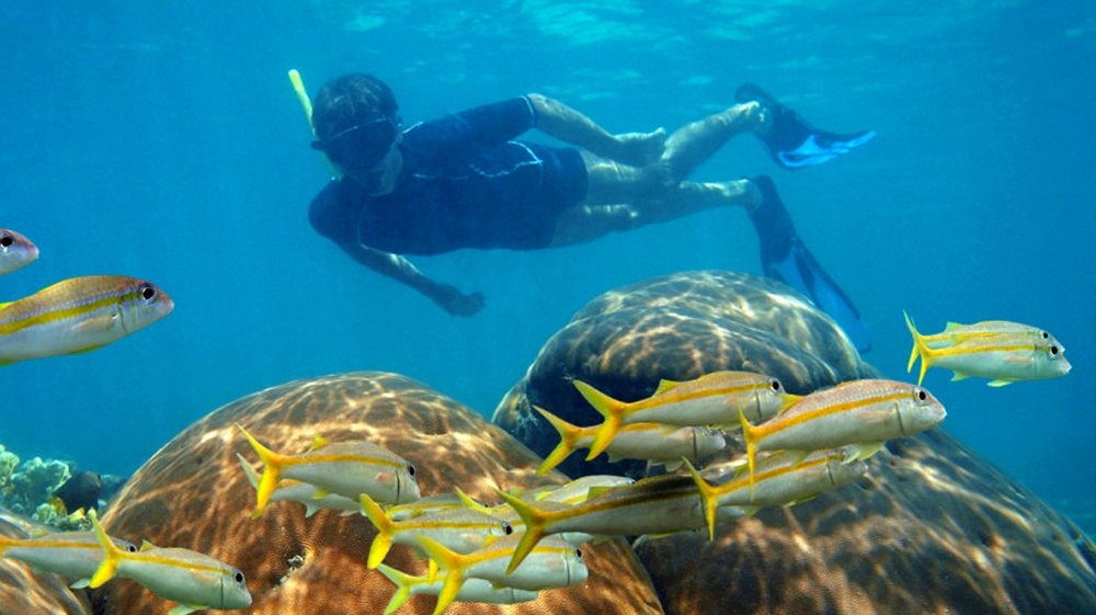 Full-Day Diving Trip in Hurghada - 4