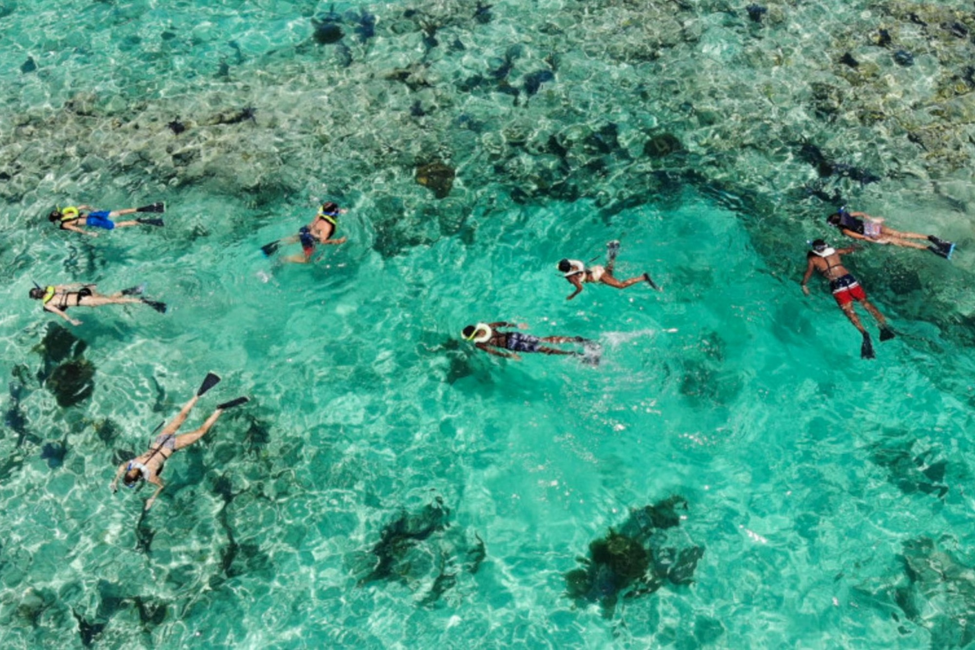 Key West: 3hr Snorkeling Experience with Unlimited Drinks
