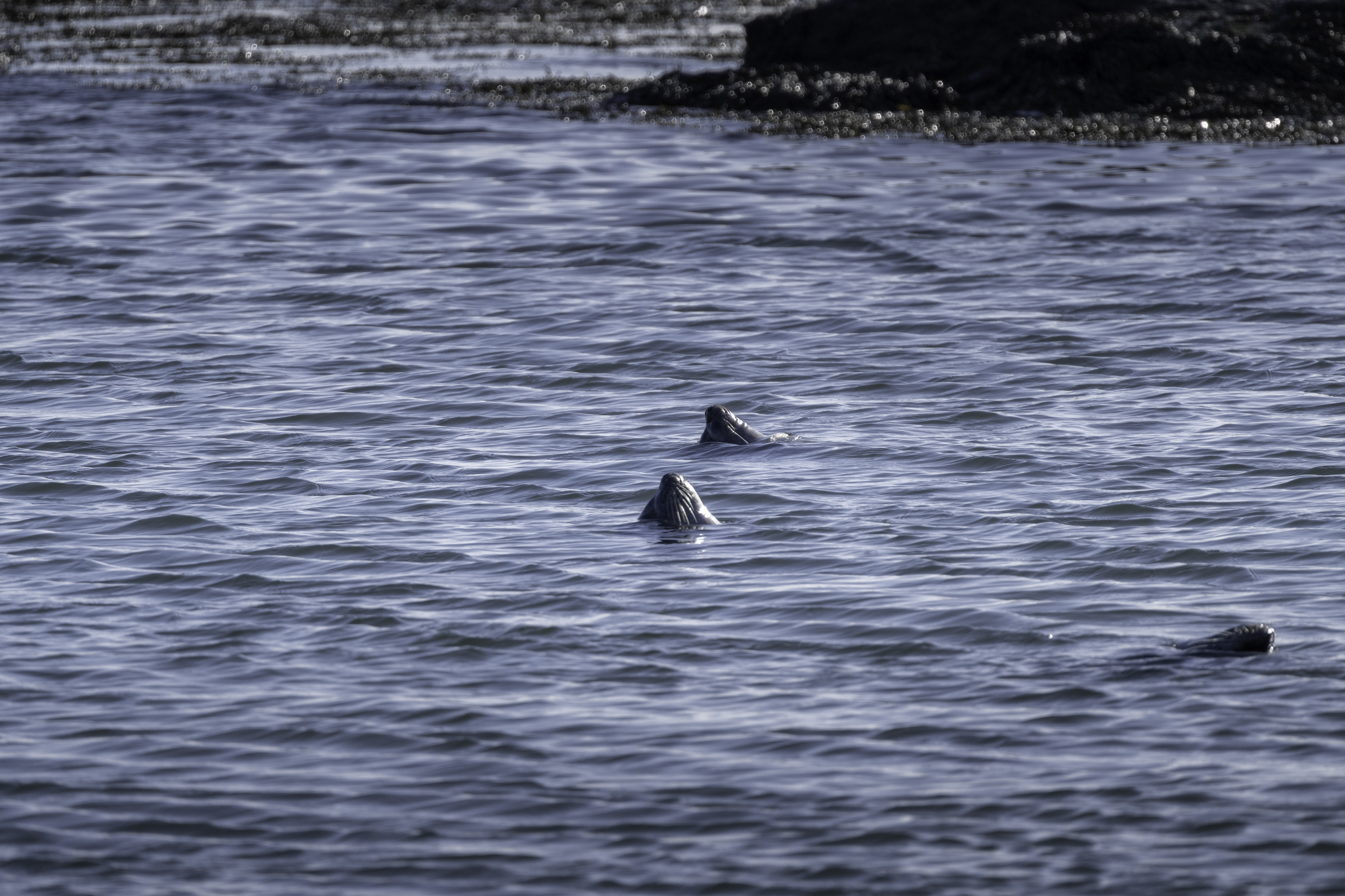 Small group Tour: Snæfellsnes Peninsula and Lava Cave - photo 3