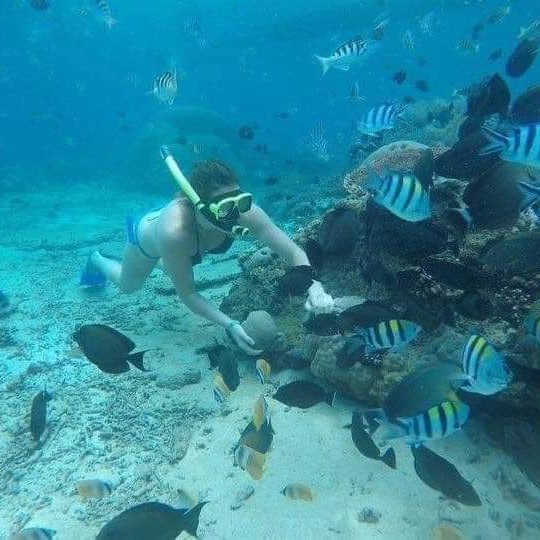 Tulamben Snorkel en USAT Liberty Shipwreck Karangasem Bali - Foto 5