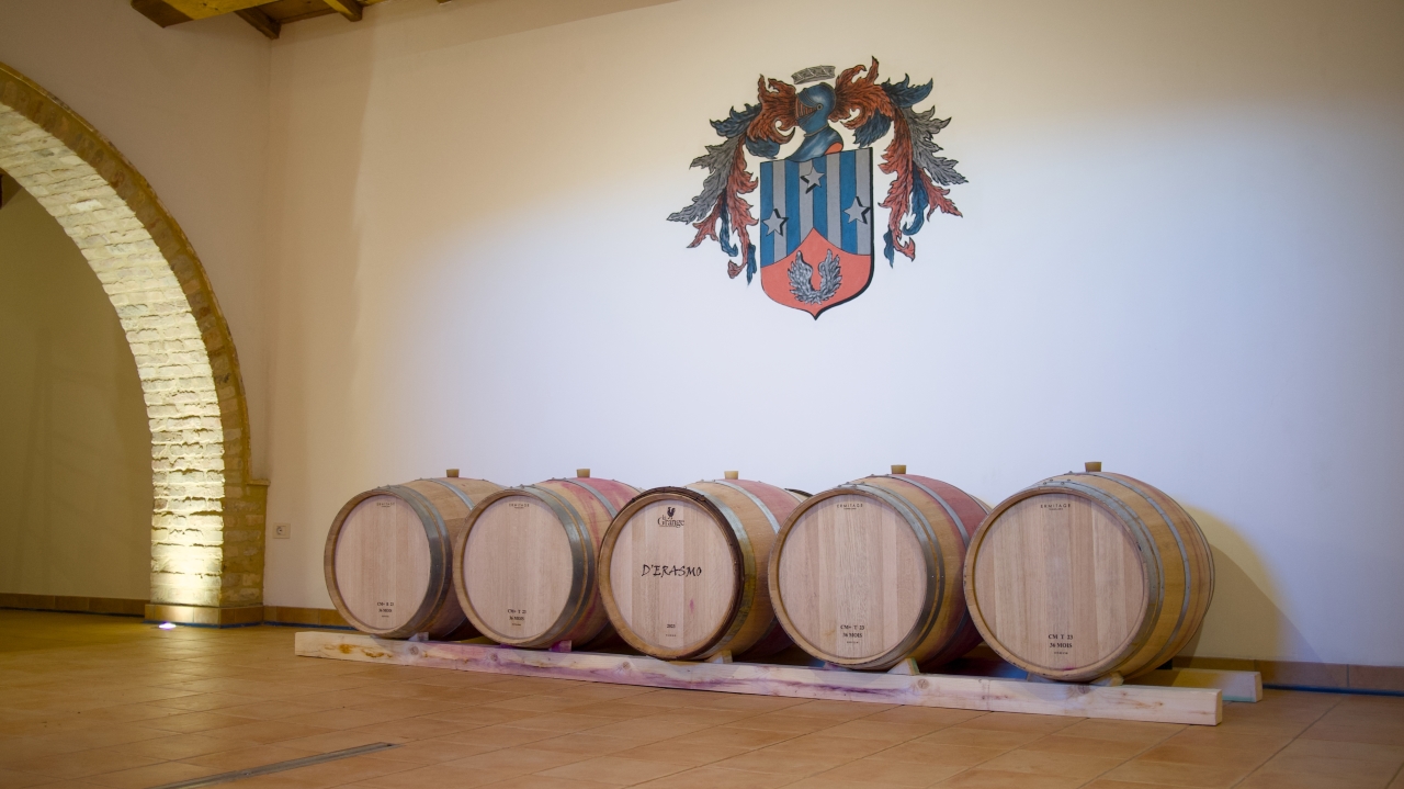 Marche: unique visit and tasting at Cantina D'Erasmo amidst signature wines - Photo 6