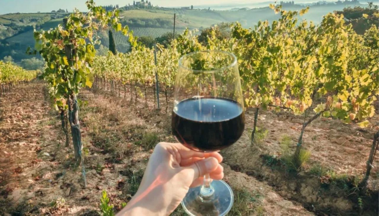 La Madama: A Journey through Piedmont's Tradition and Wines - Photo 13