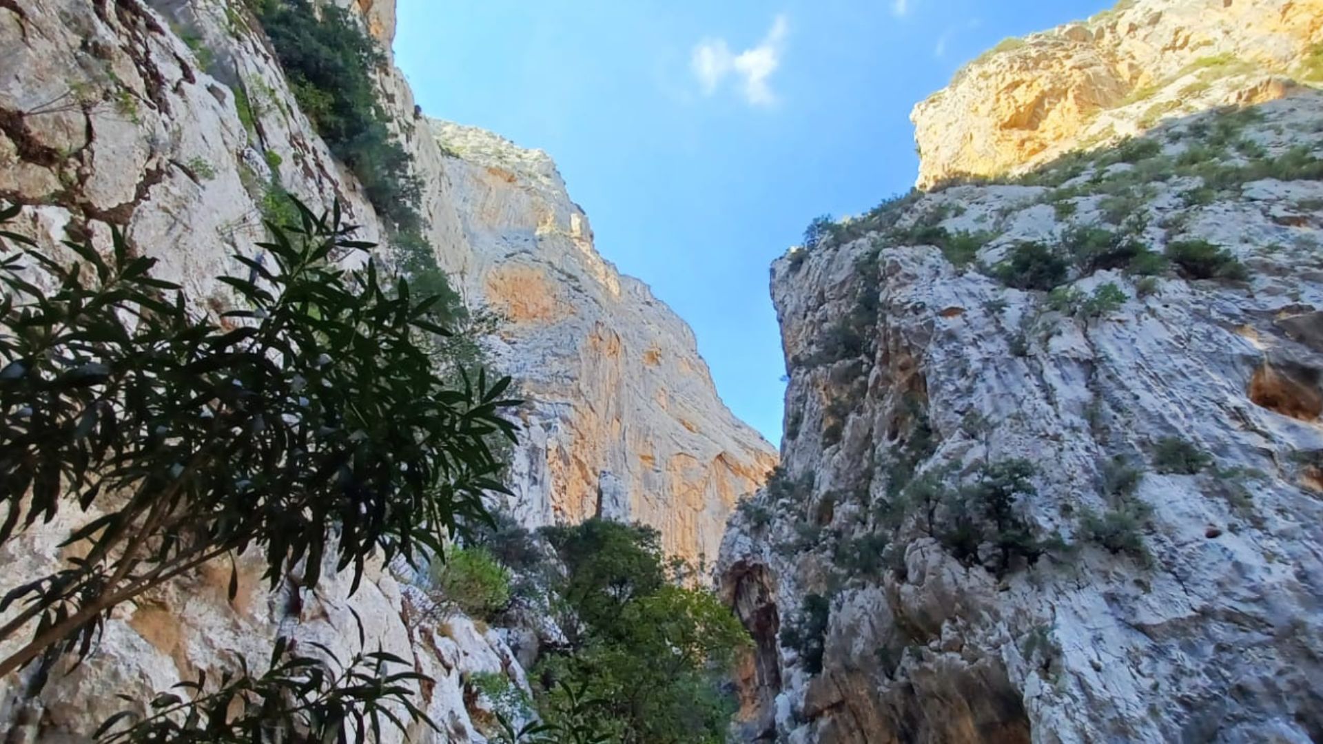 From Urzulei: trekking in the Gorropu canyon - Photo 9