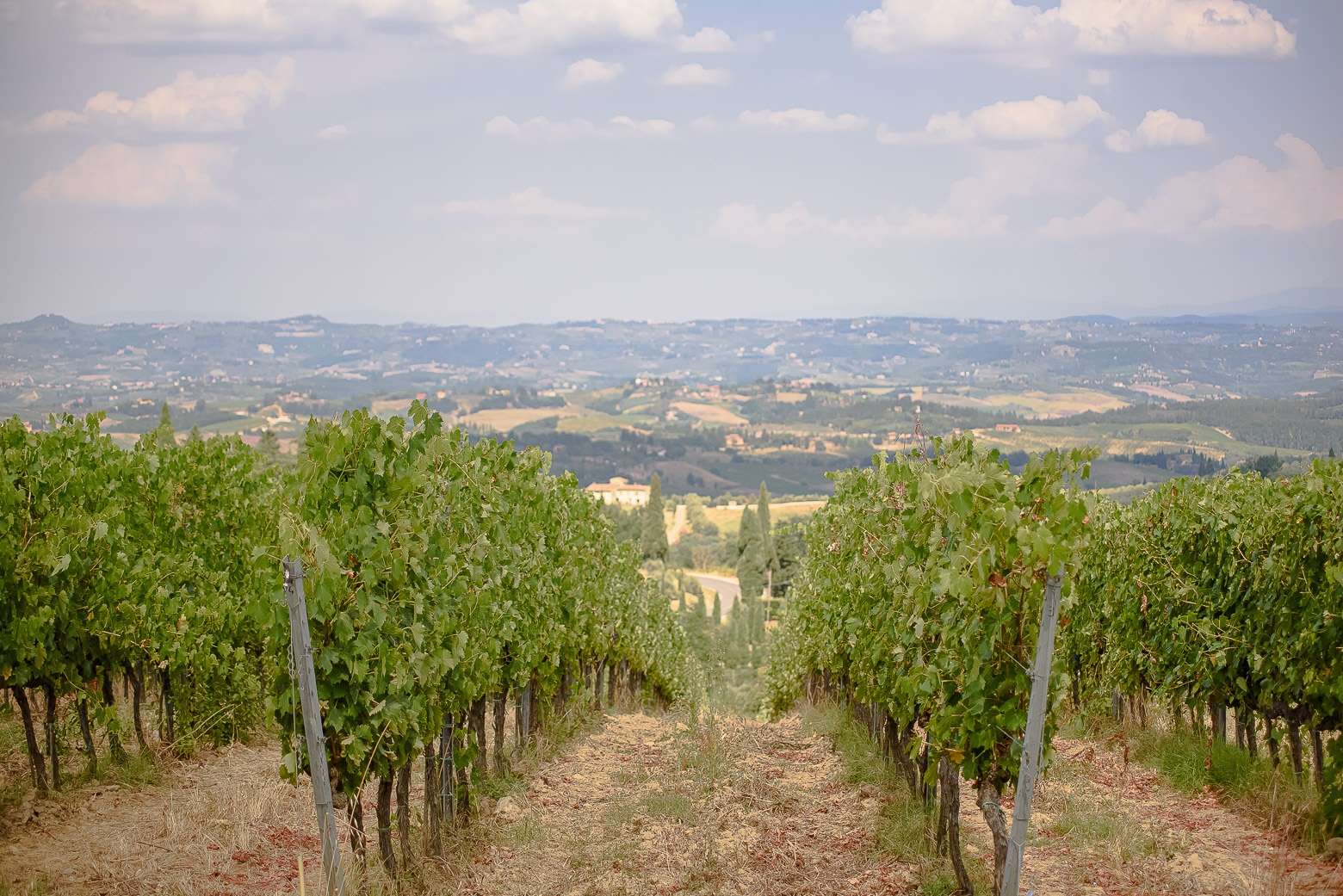 Small-Group Winery Tour with Tasting and Dinner in Chianti - Photo 139