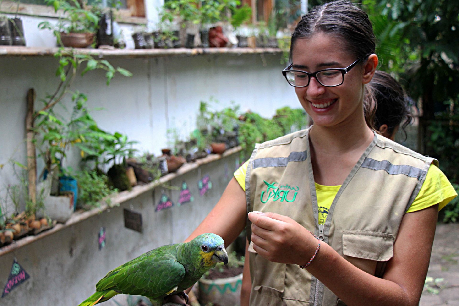 Tar-01: Los tesoros escondidos de Tarapoto - Tours por la ciudad, el chocolate y los animales - Foto 4