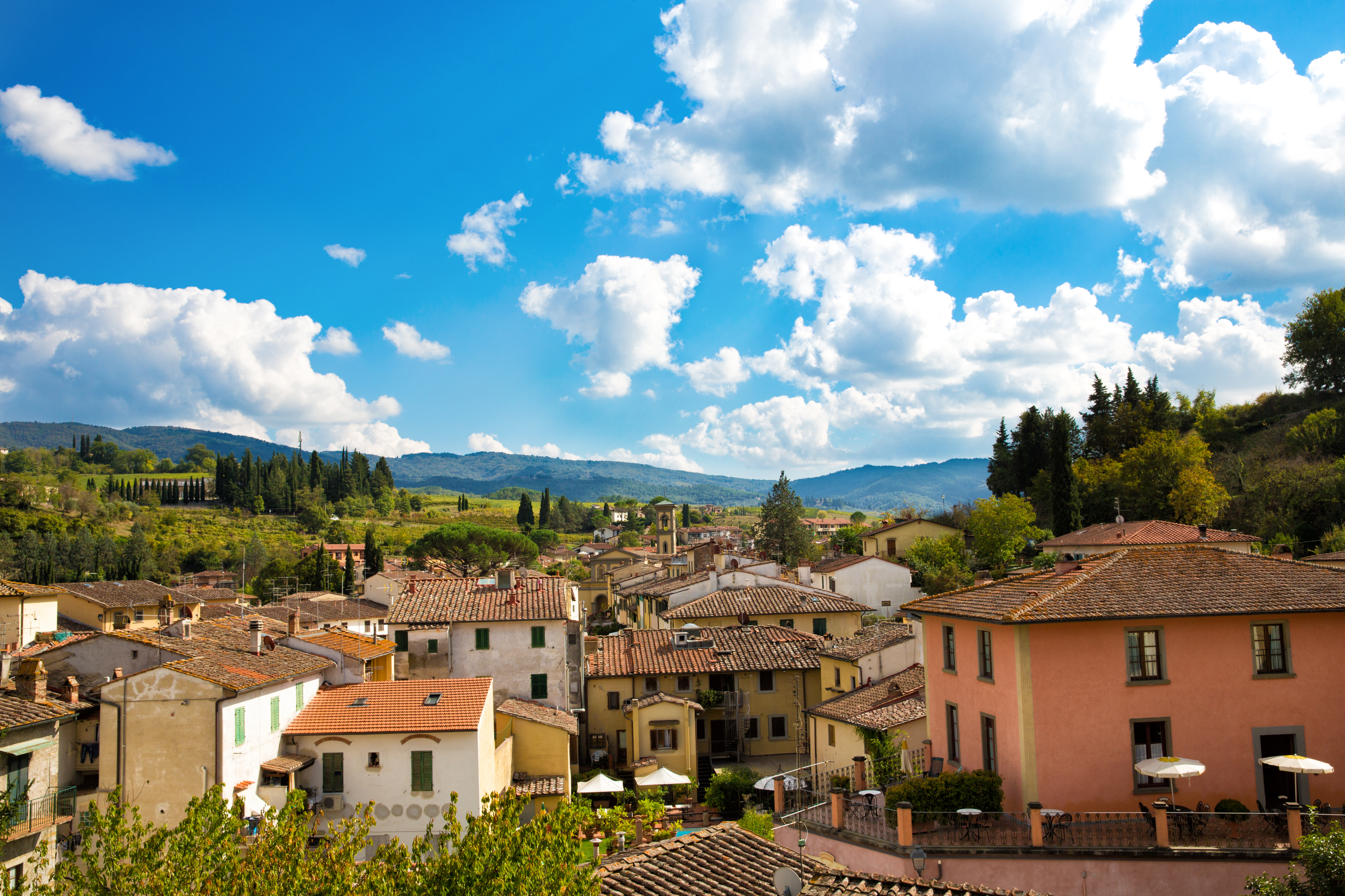 Chianti Wine tour and Badia a Passignano - Photo 4