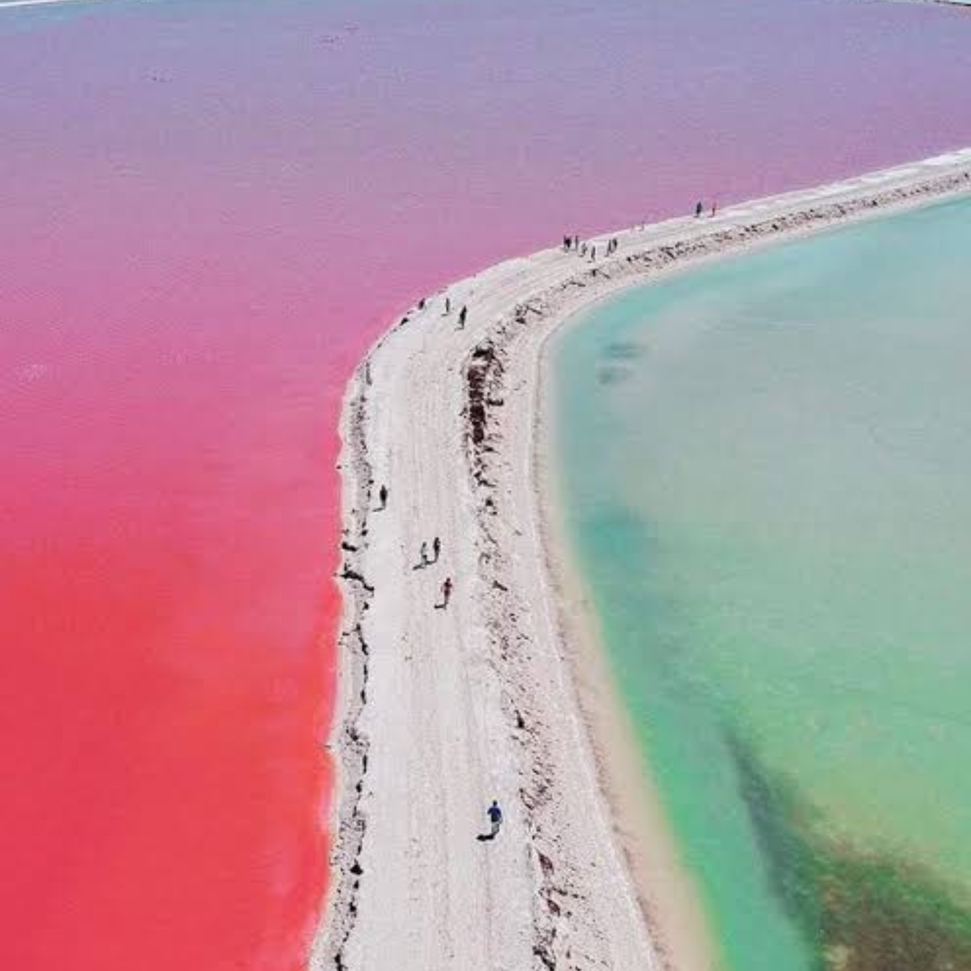 Excursion a las Coloradas y Río Lagartos 5