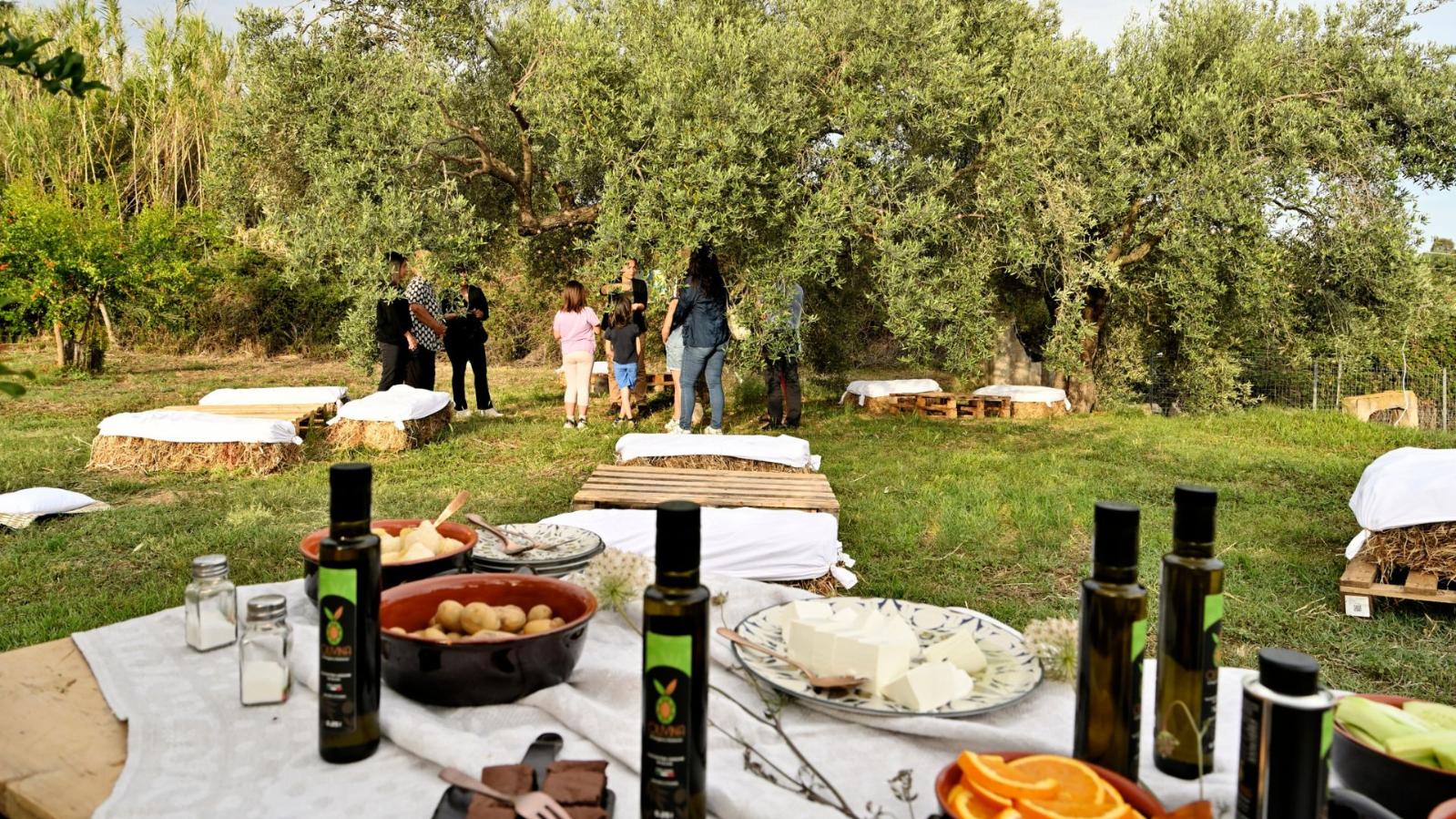 Tortolì: visit to an oil mill and oil tasting in Lotzorai - Photo 8