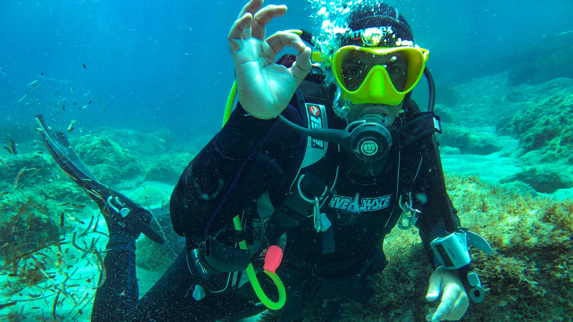 Bosa: diving baptism - Photo 23