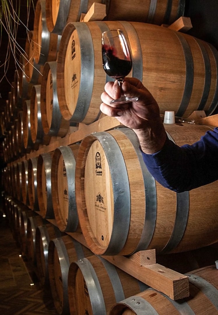 Wine Tasting straight from the barrel in San Gimignano countryside - Photo 5