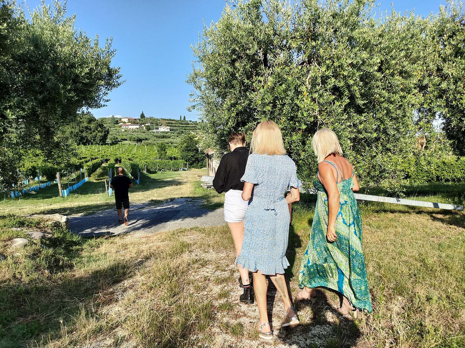 Vineyard tour and tasting of Garda Wines in Cavaion Veronese - Photo 7