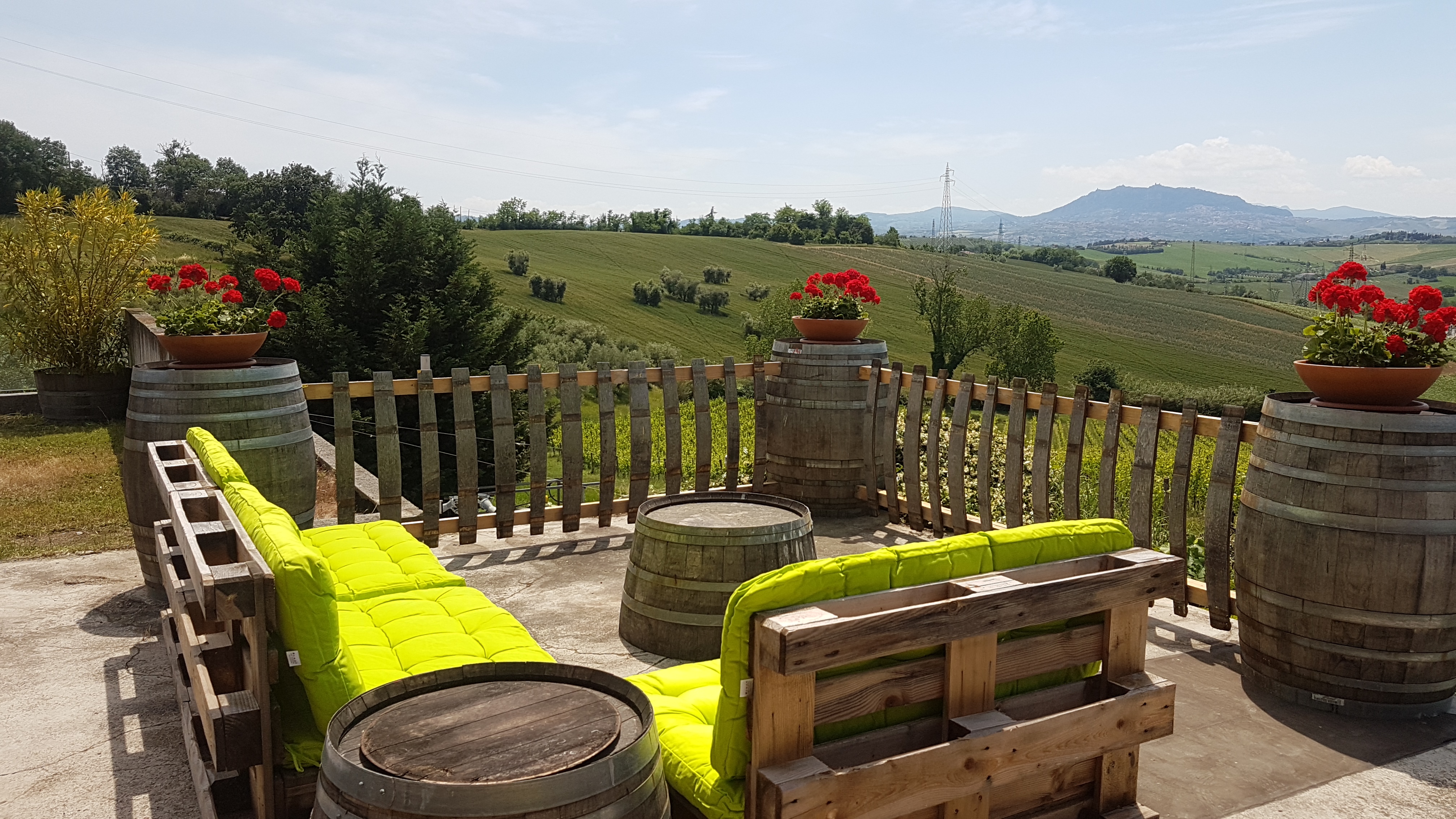 Rimini: Wine Experience – Guided Cellar & Vineyard Tour with 5 DOC Wines - Photo 7