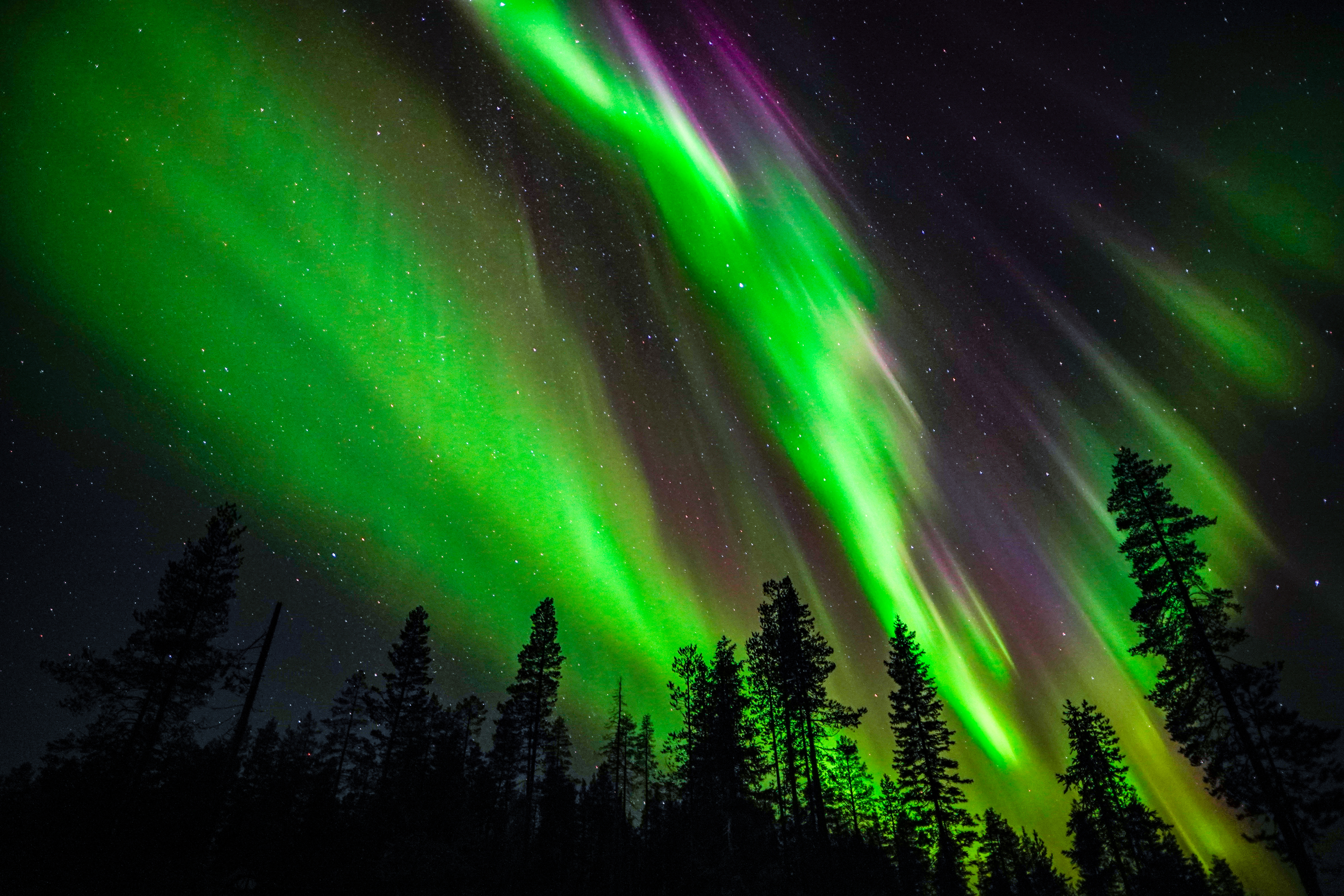 Family-Friendly: Northern Lights Adventure from Rovaniemi – Image 1 | WeShare