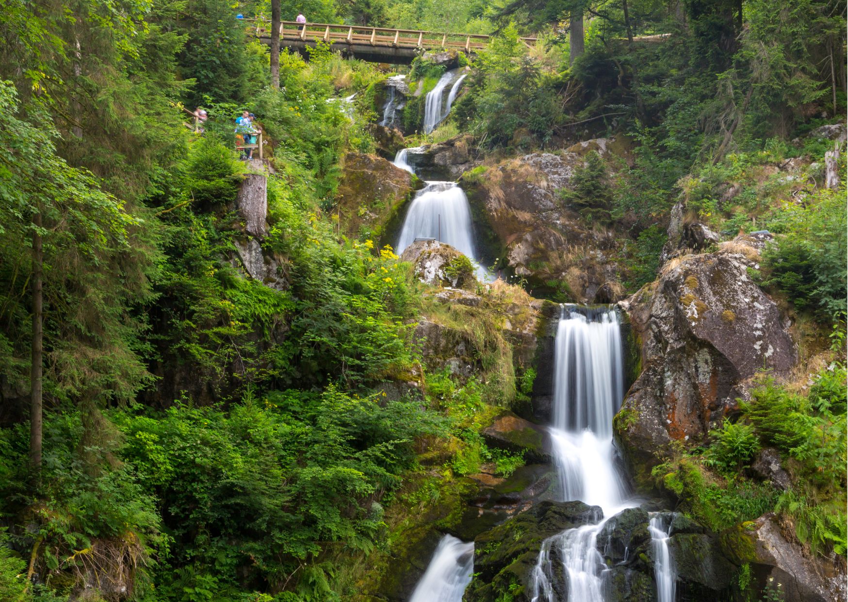 Zürich: Private Car Tour to Rhine Falls, Titisee and Black Forest - Photo 5
