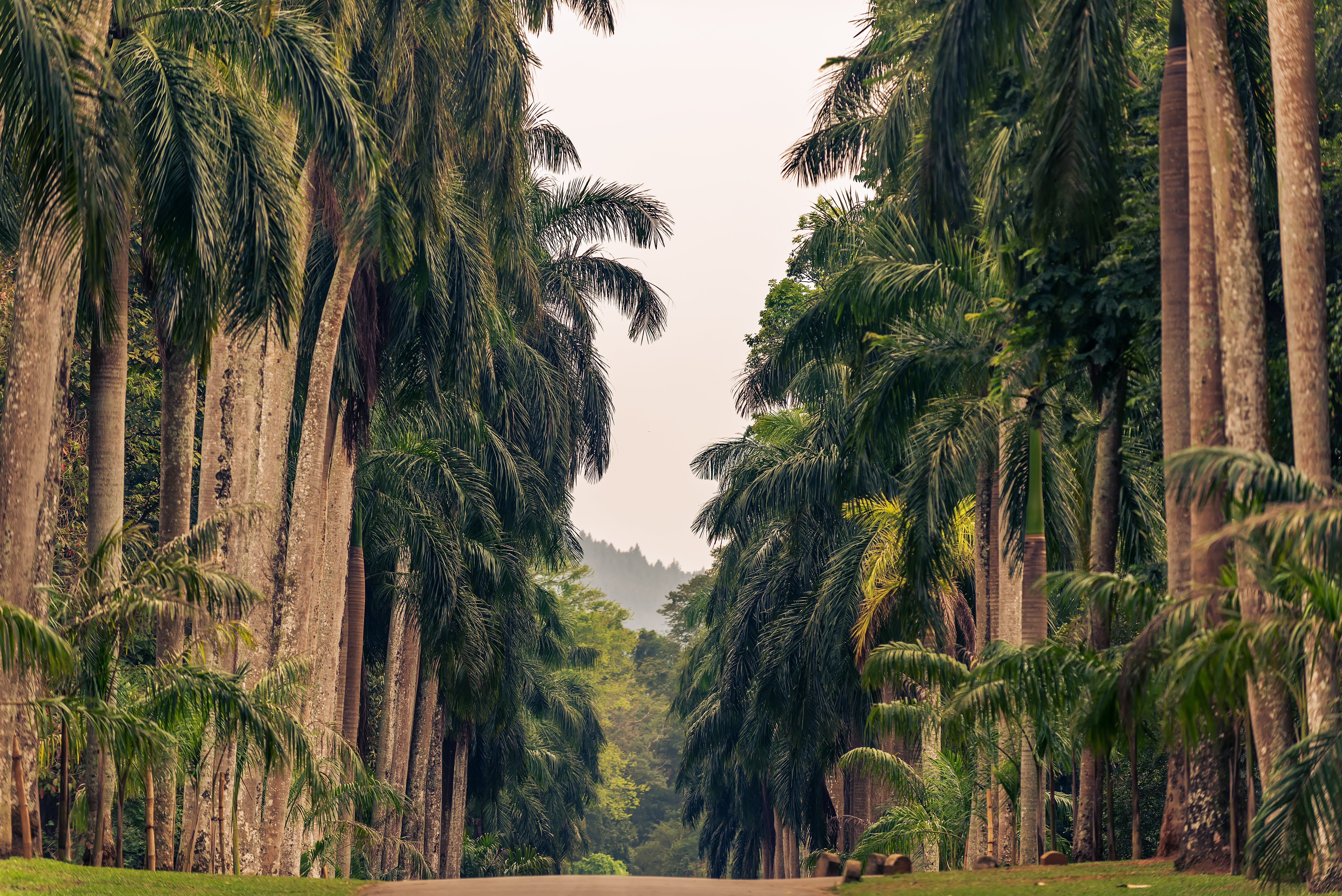 Culture of the Hills Tour from Bentota (2 Days)