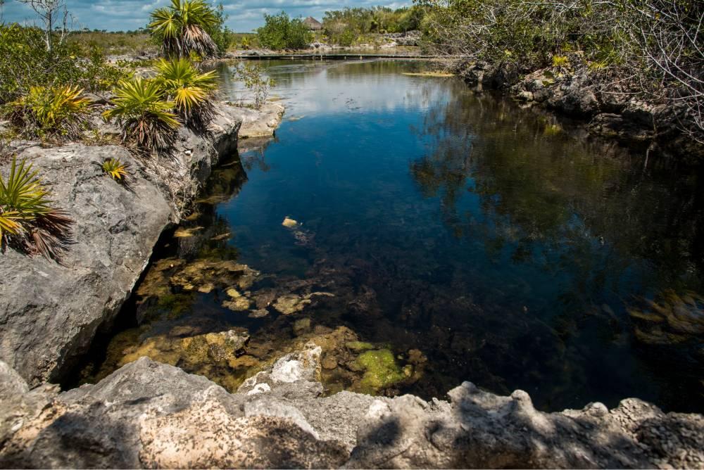 Excursión a Tulum y Akumal — 9/13