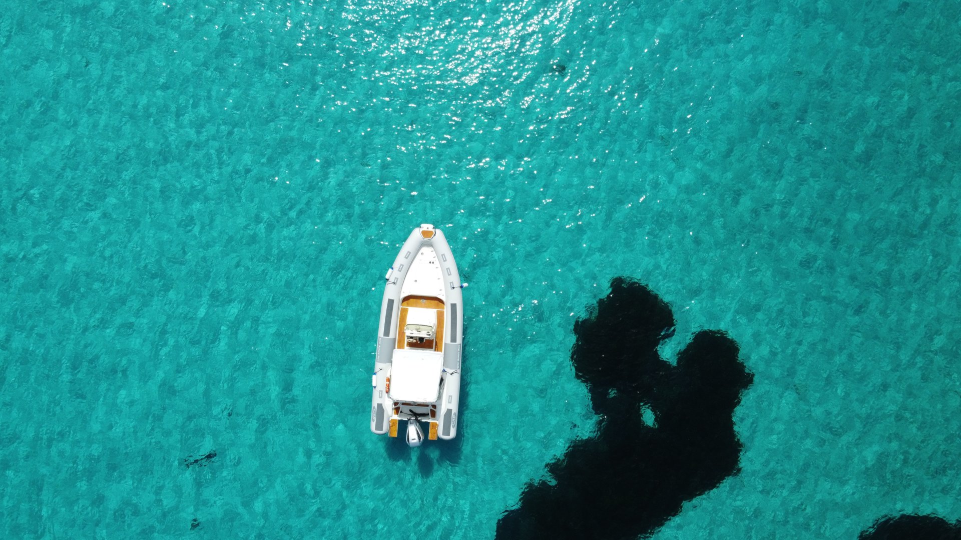 From Stintino: RIB tour in the gulf of Asinara - Photo 11