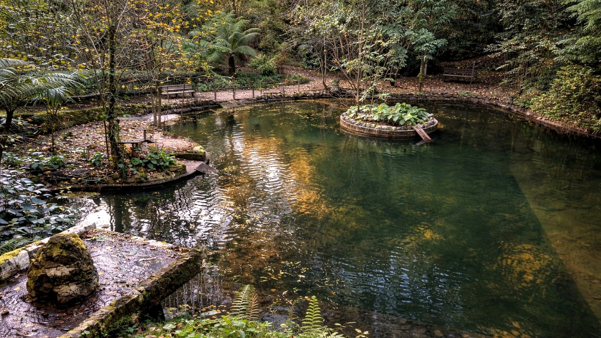 Private Coimbra & Buçaco Tour with Forest Walk & Palace - Photo 3