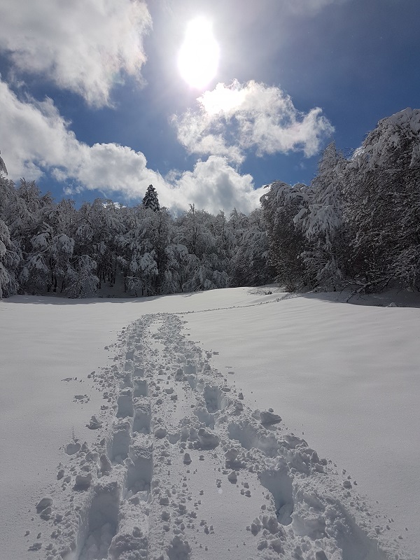 8 Days / 7 nights - Snowshoeing Adventure in Germany & Austria - Photo 4
