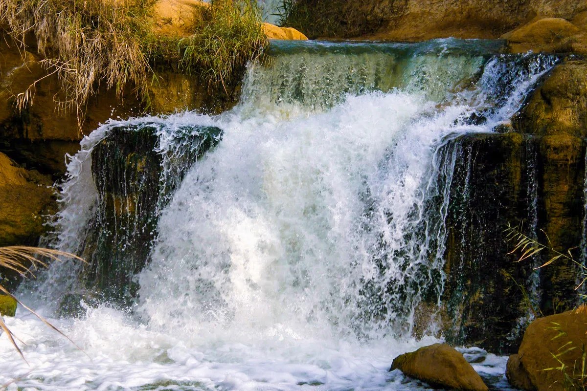 Tour de safari de 3 días por Wadi El Hitan y el oasis de Fayoum