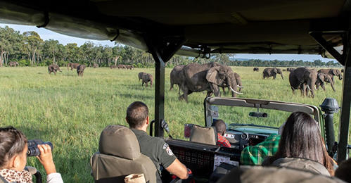 Safari privado de 9 días: Kenia y Tanzania - Foto 2