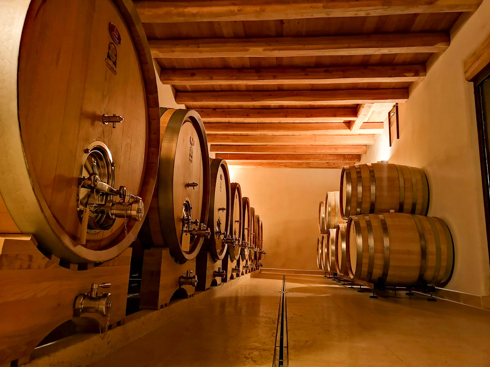 Wine tour and Tasting in a small Estate on Valpolicella Hills - Photo 5