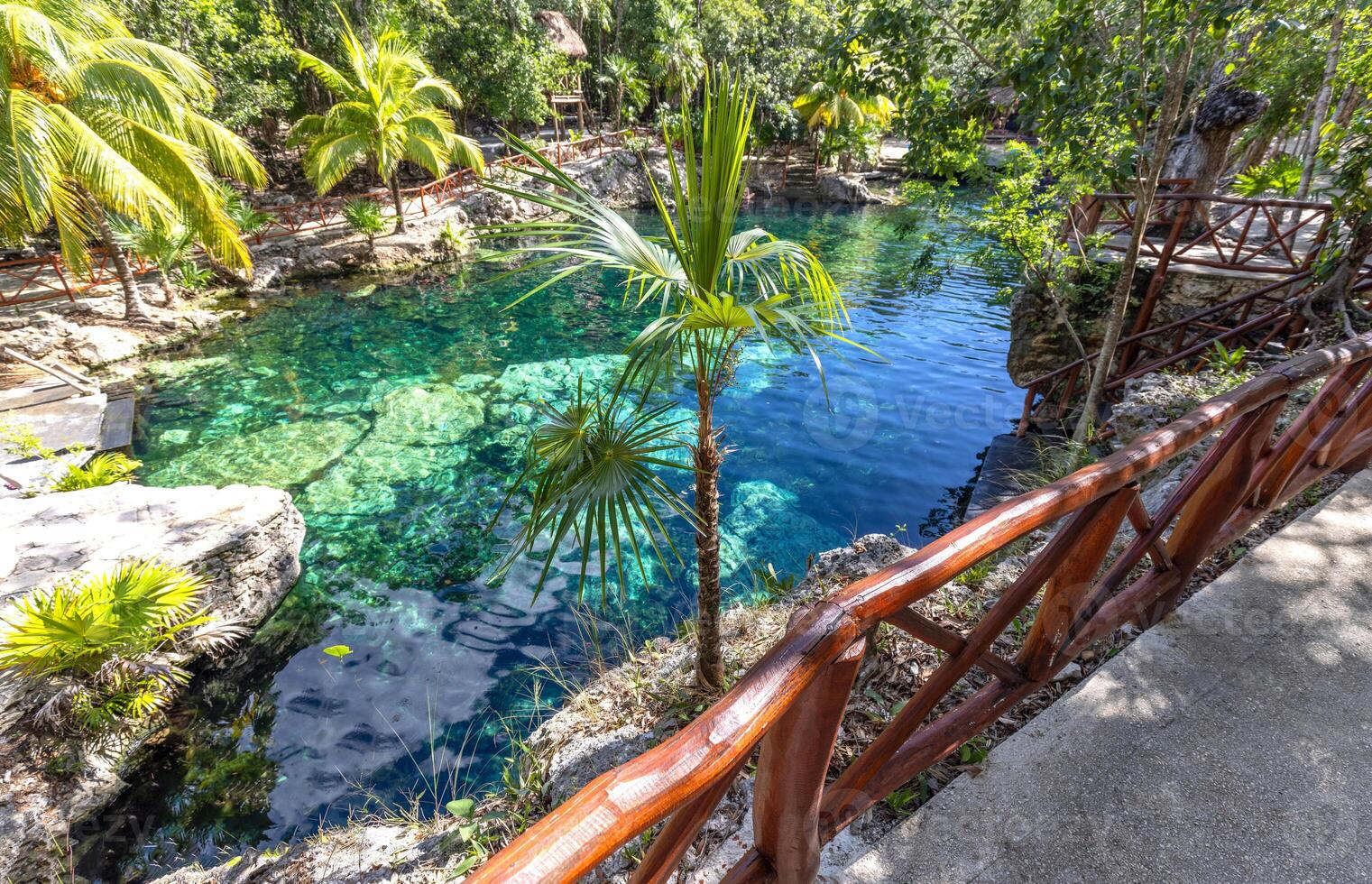 Snorkel VIP Express en 4 Cenotes Paradisíacos en Casa Tortuga 4