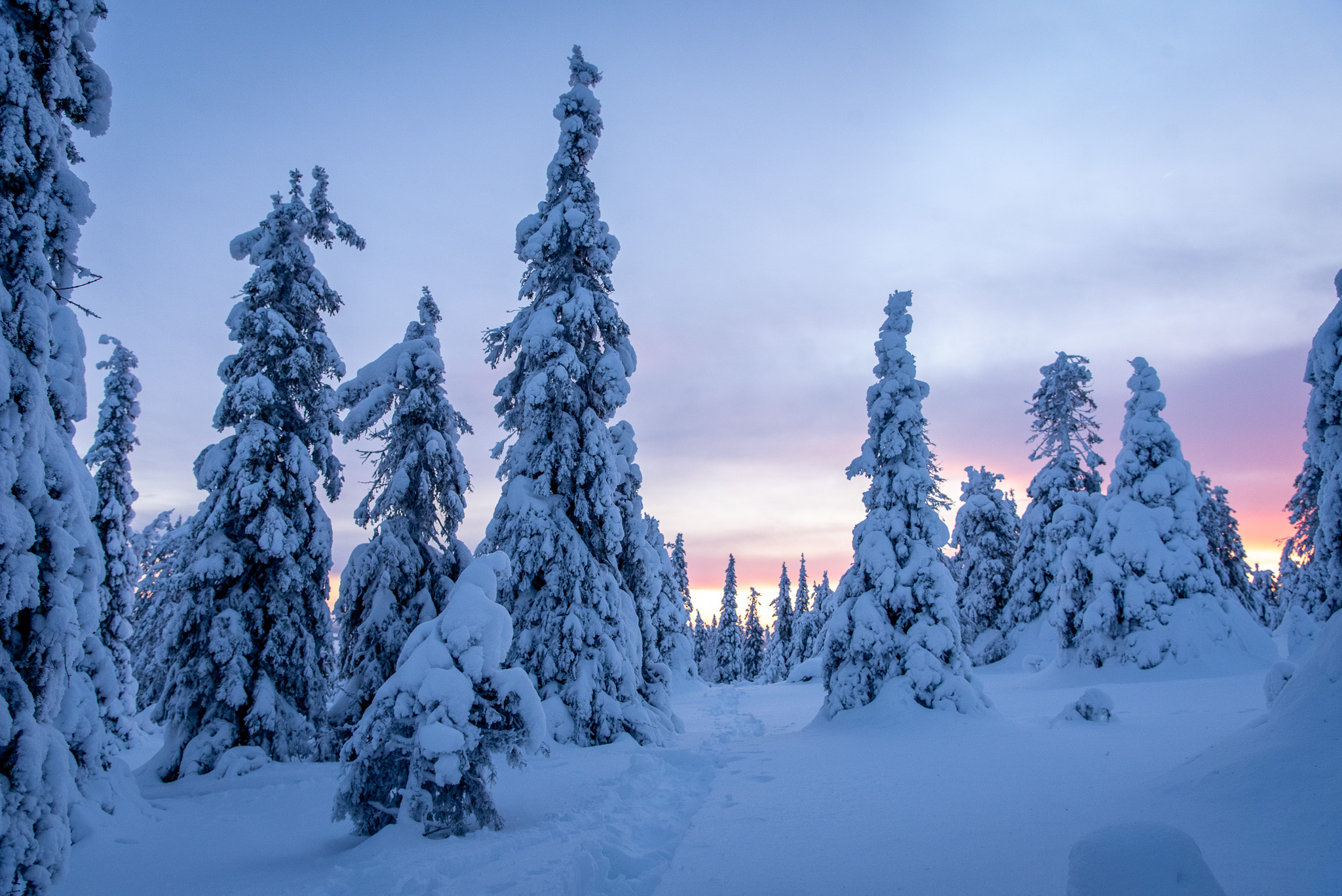 Excursión en Raquetas de Nieve con Recogida en Grupo Reducido - Alojamientos en Rovaniemi