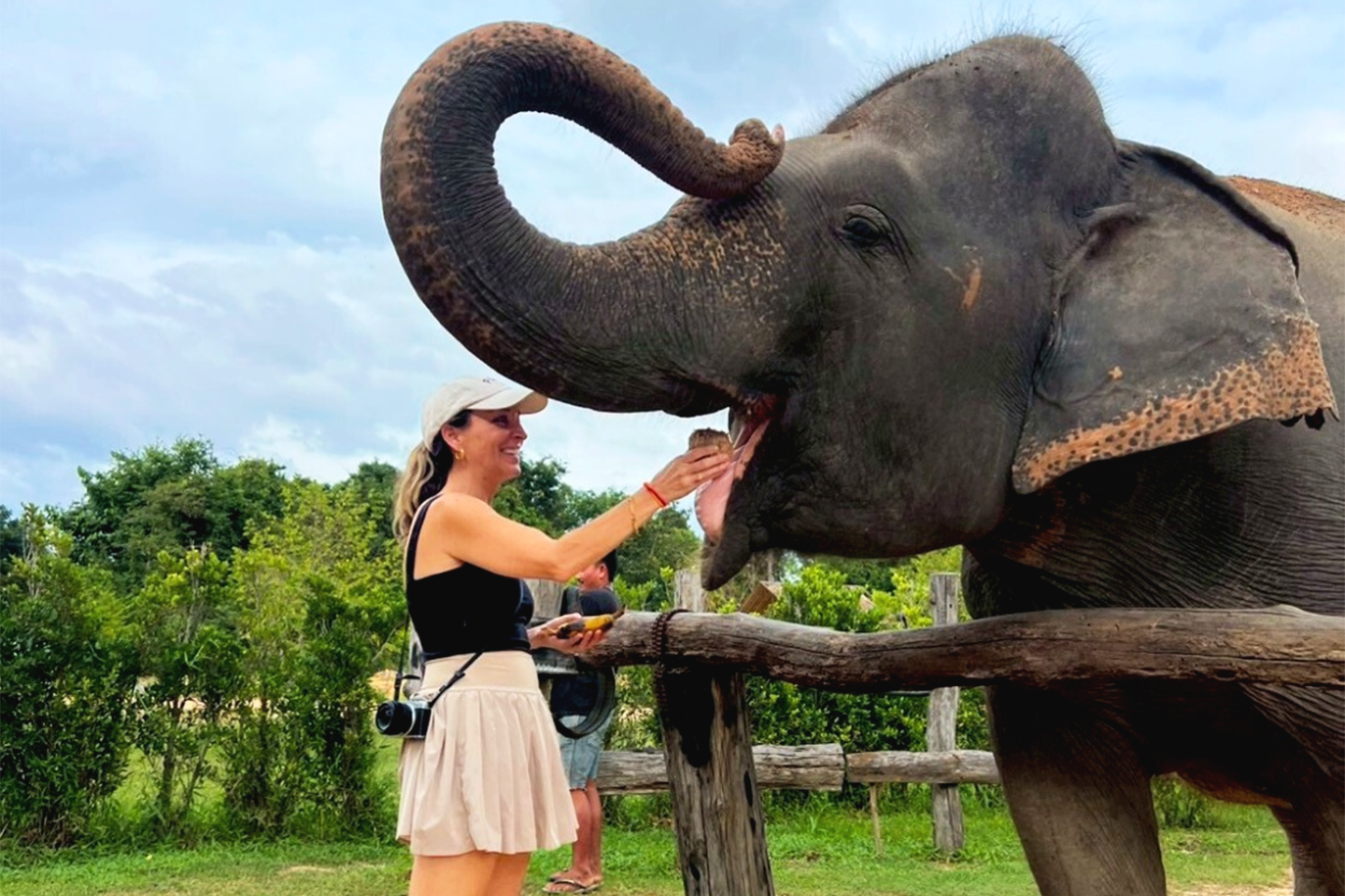 Experiencias de un día para elefantes en Camboya desde Siem Reap