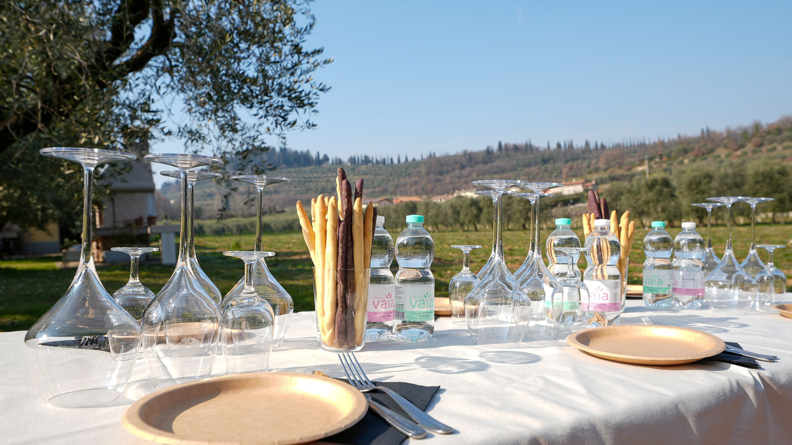 Wine and Gourmet food tasting in Bardolino - Photo 2