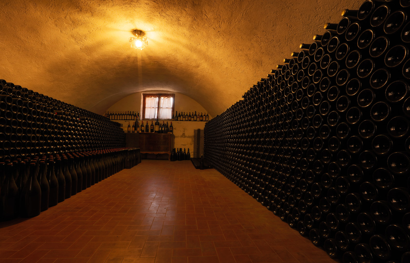 Tour and tasting of 5 Garda wines and olive oil in Valeggio - Photo 5