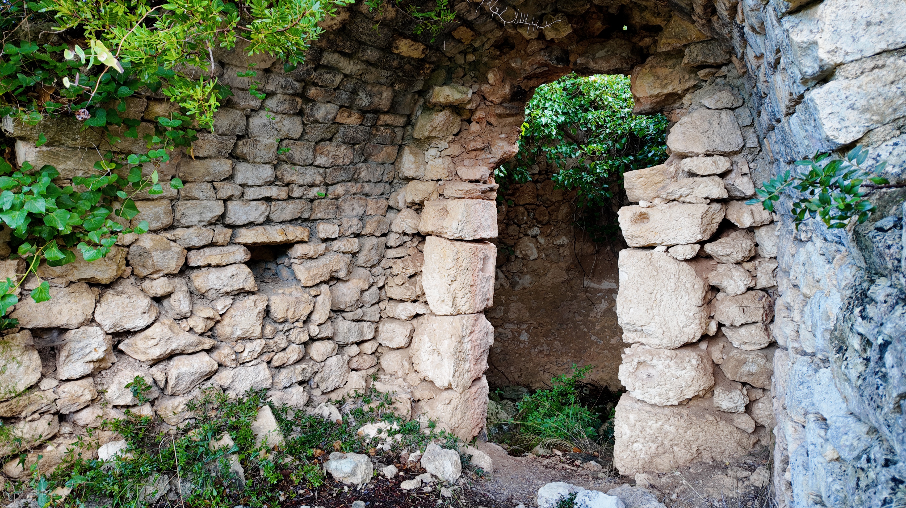 Sassari: hiking with donkeys in Cargeghe and aperitif - Photo 9