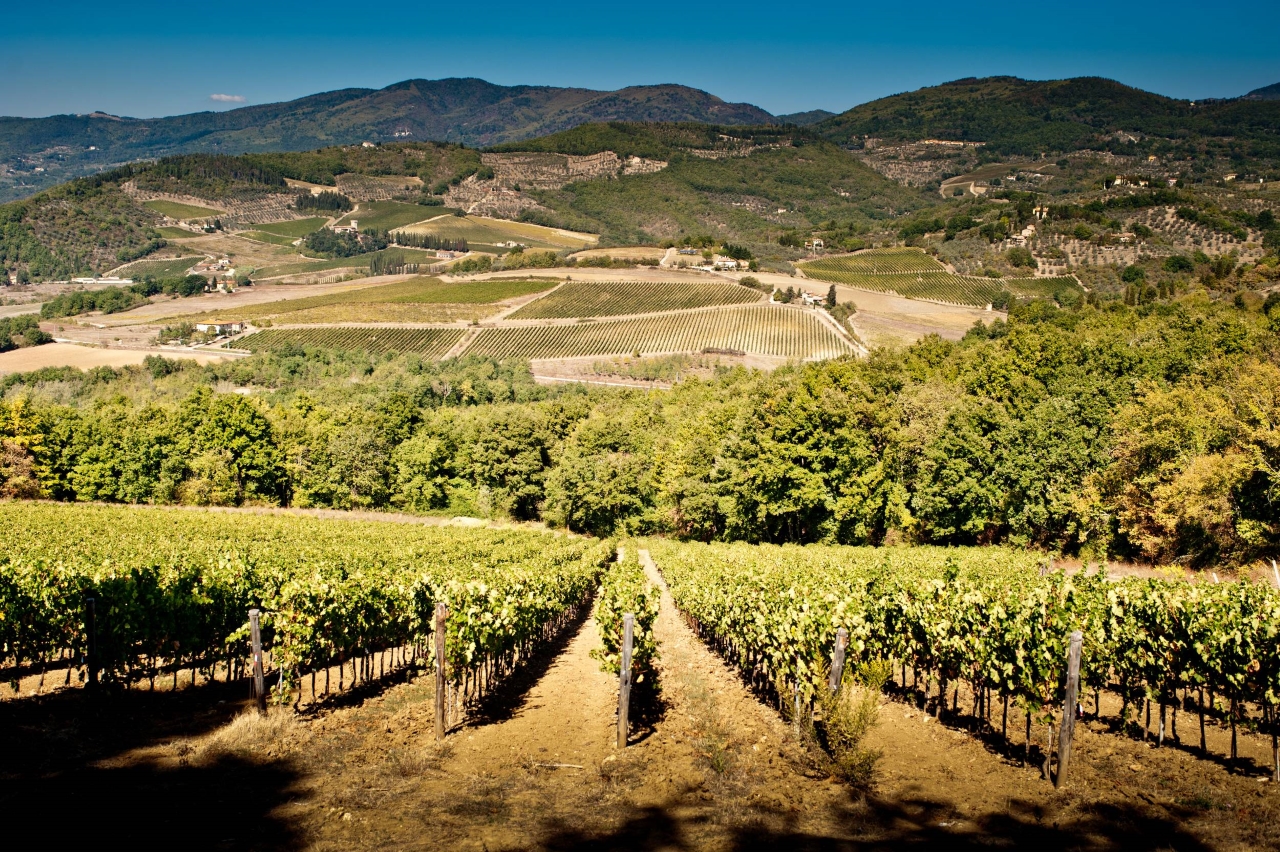 Explore Elegance: Savor 3 Exquisite Wines at Tenuta Bossi - Photo 4