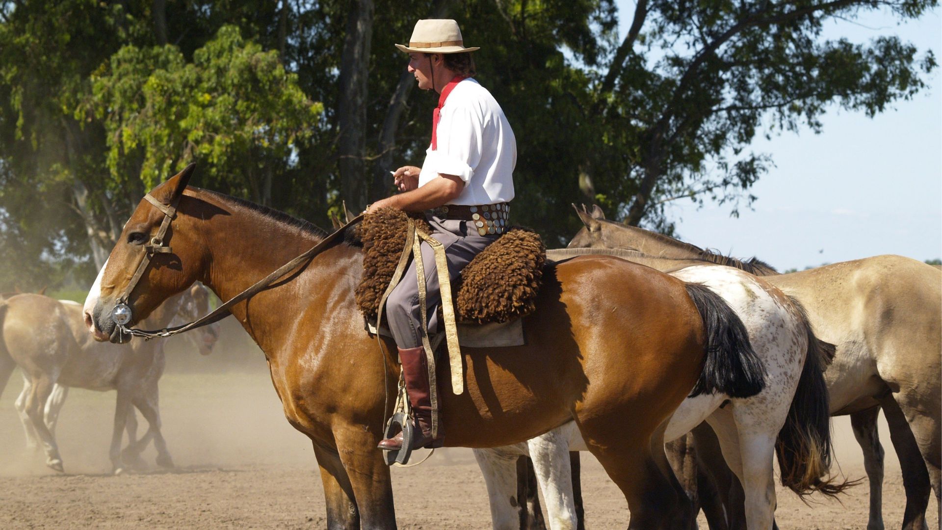 Día Gaucho - explora San Antonio de Areco - Foto 3