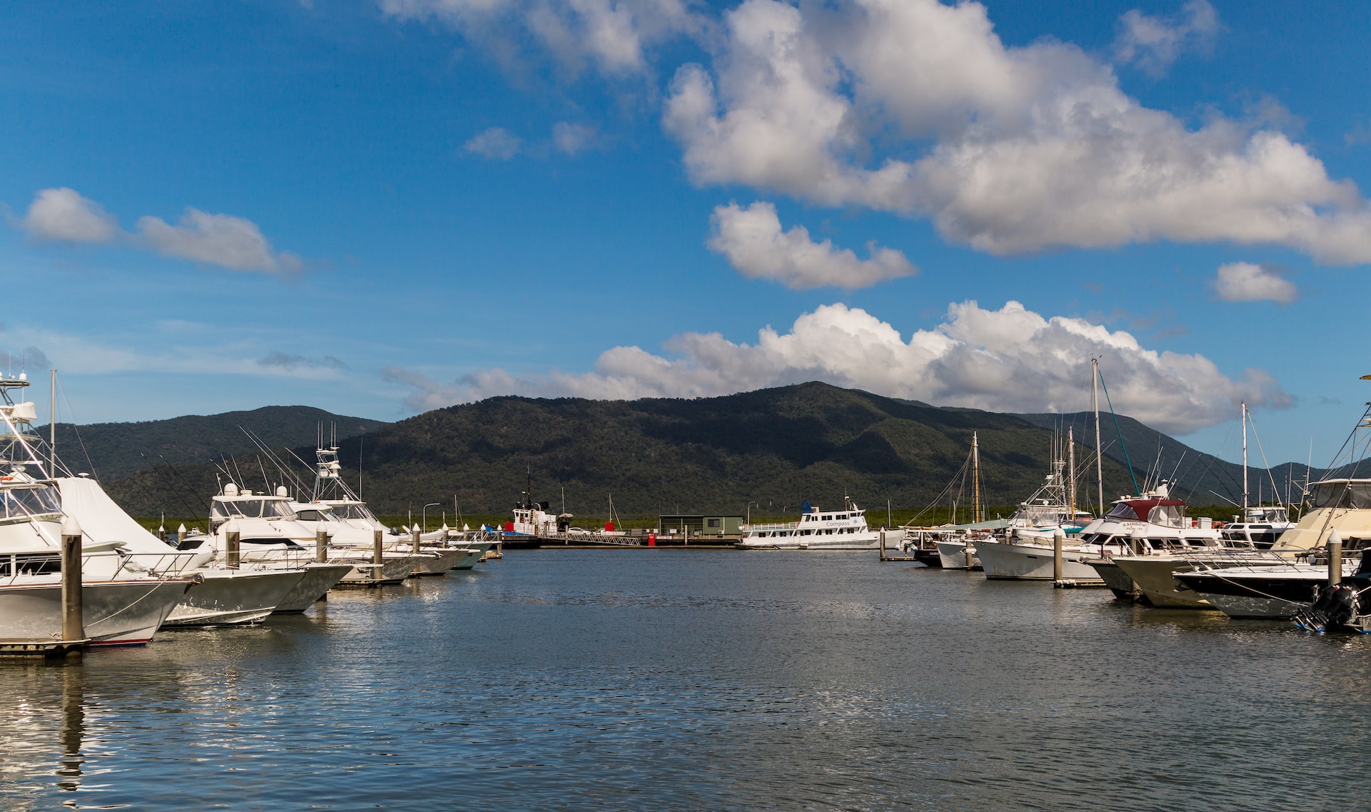 THE AUSSIE EXPLORER  - Photo 2