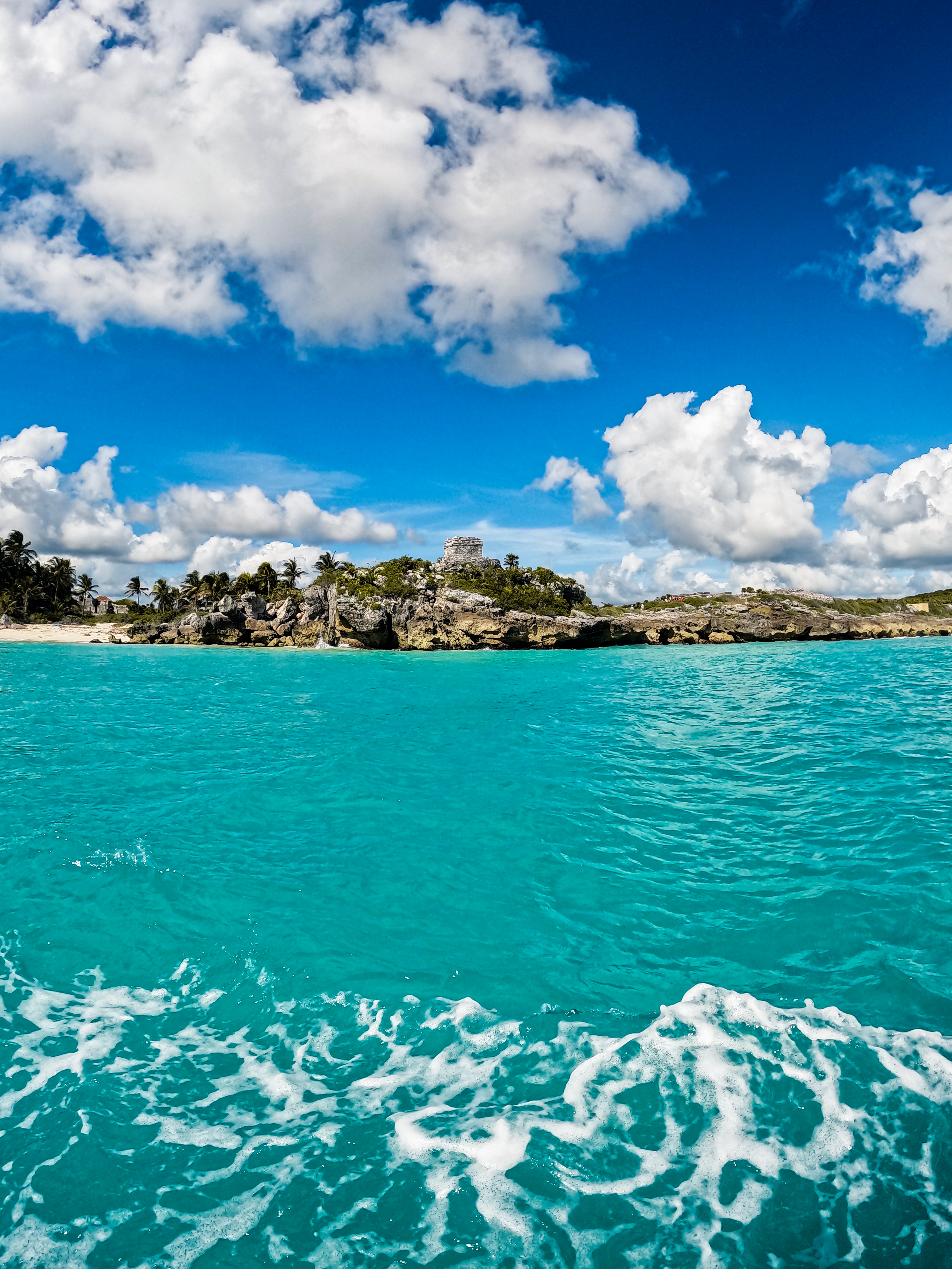 1.5 hours Snorkeling at Tulum's paradise reef — 83/92