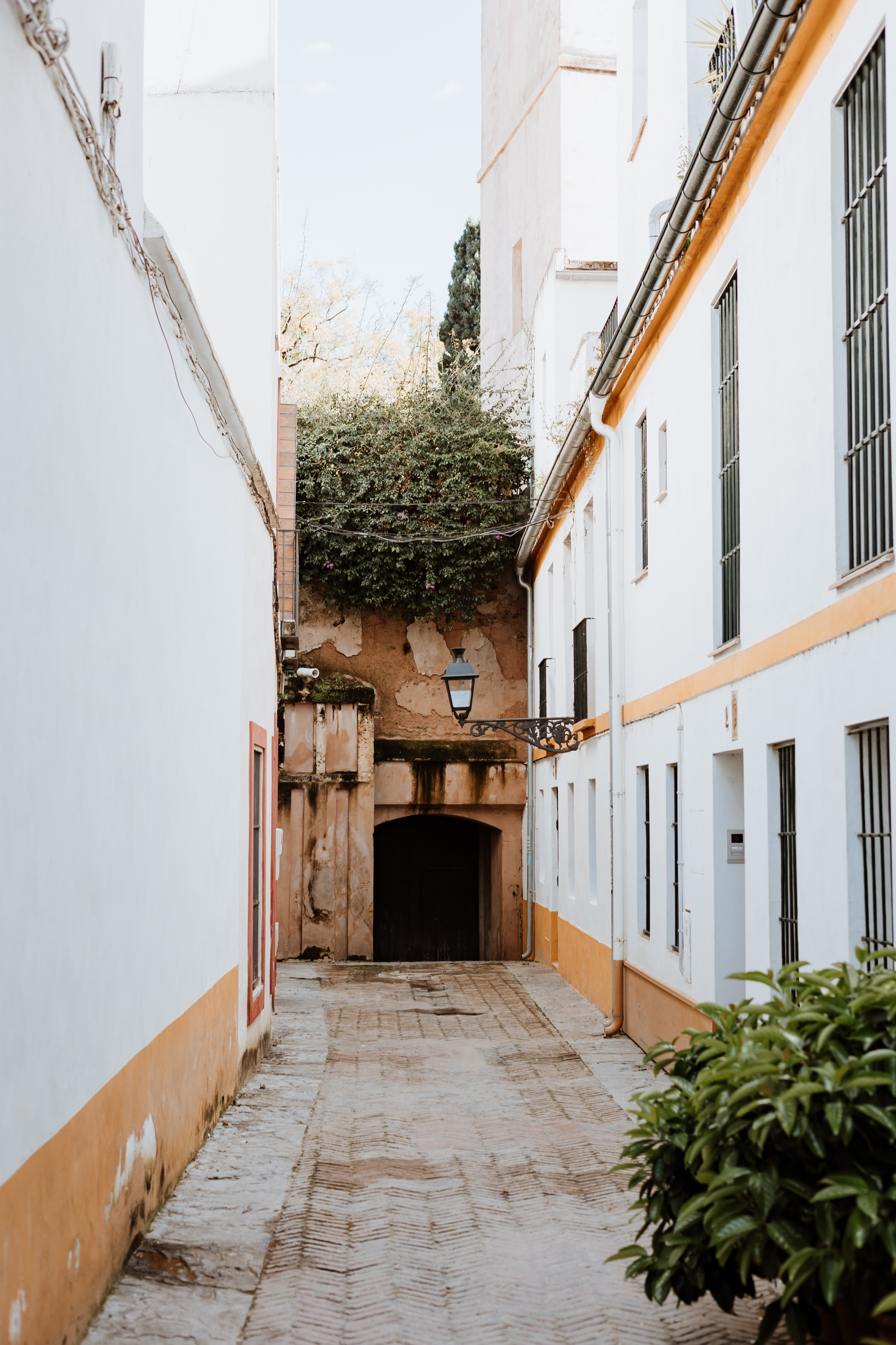 Sevilla Yahudi Mahallesi turu: Santa Cruz Mahallesi