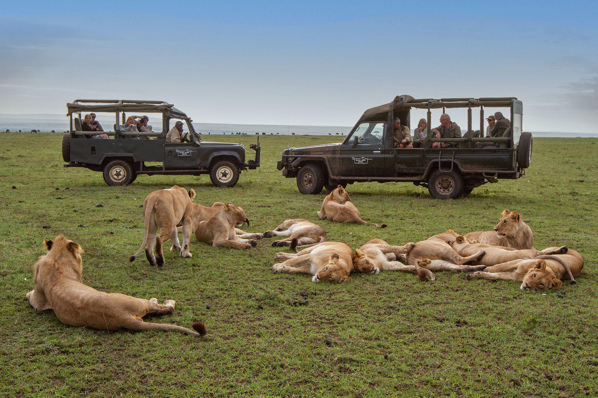11-Day Kenya Safari & Double Gorilla Trekking – photo 1