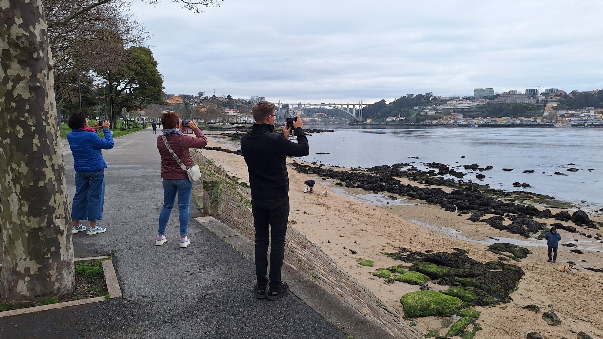 Private Porto Afternoon Tour: Old Town Icons and Bridge Viewpoints - Photo 12