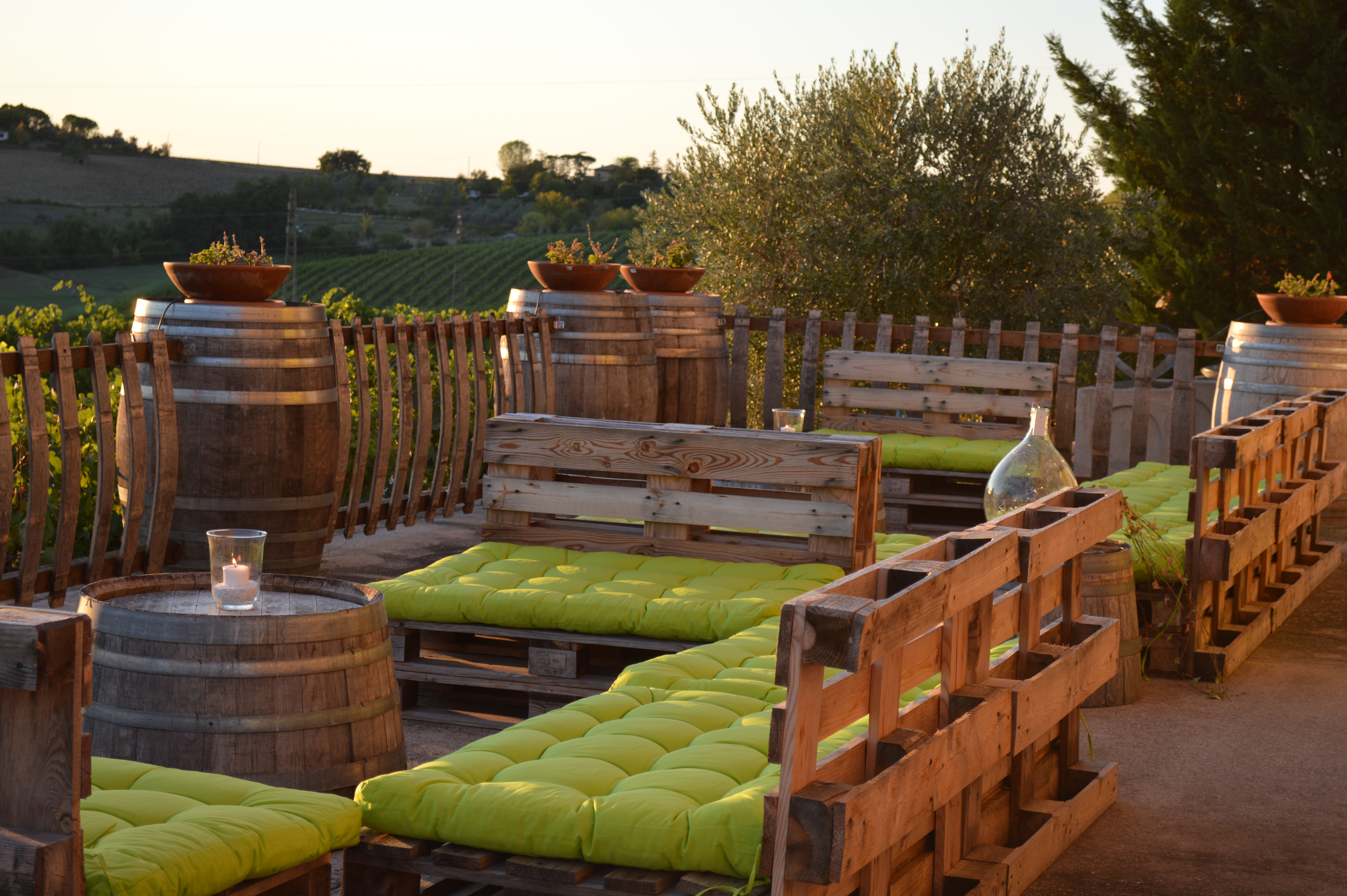 Rimini: Wine Experience – Guided Cellar & Vineyard Tour with 5 DOC Wines - Photo 3