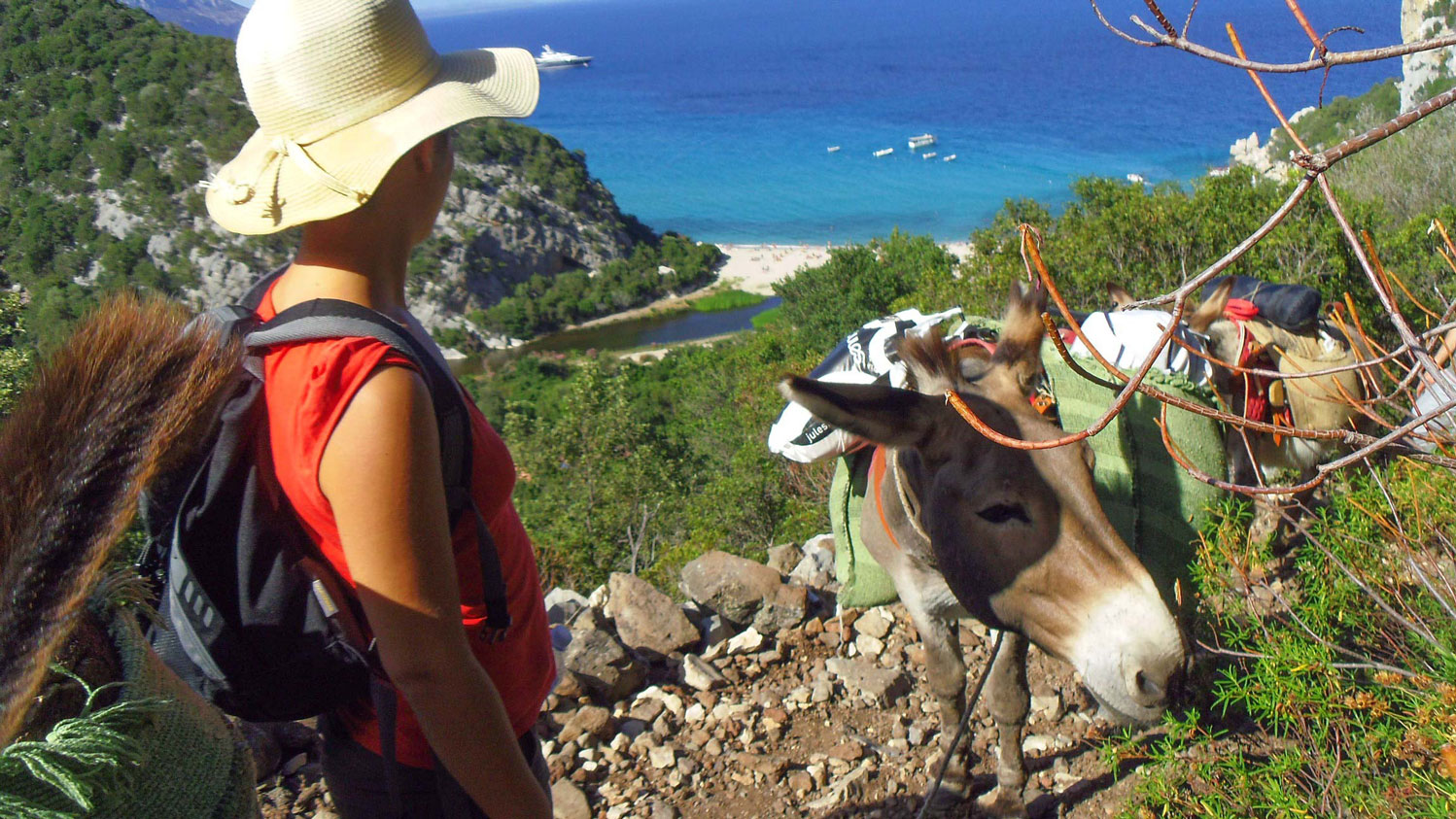From Dorgali: 3-day donkey trekking in the Gulf of Orosei - Photo 3