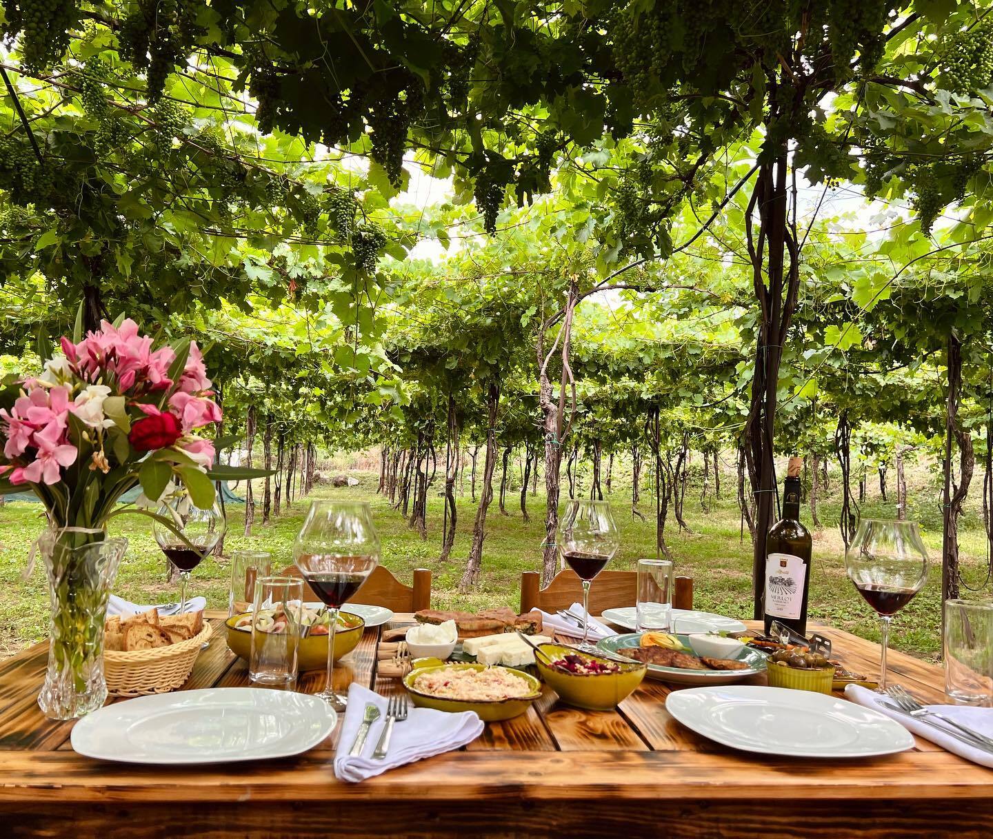 Discover Roshnik: Village Life and Alpeta Winery Tasting - Photo 5