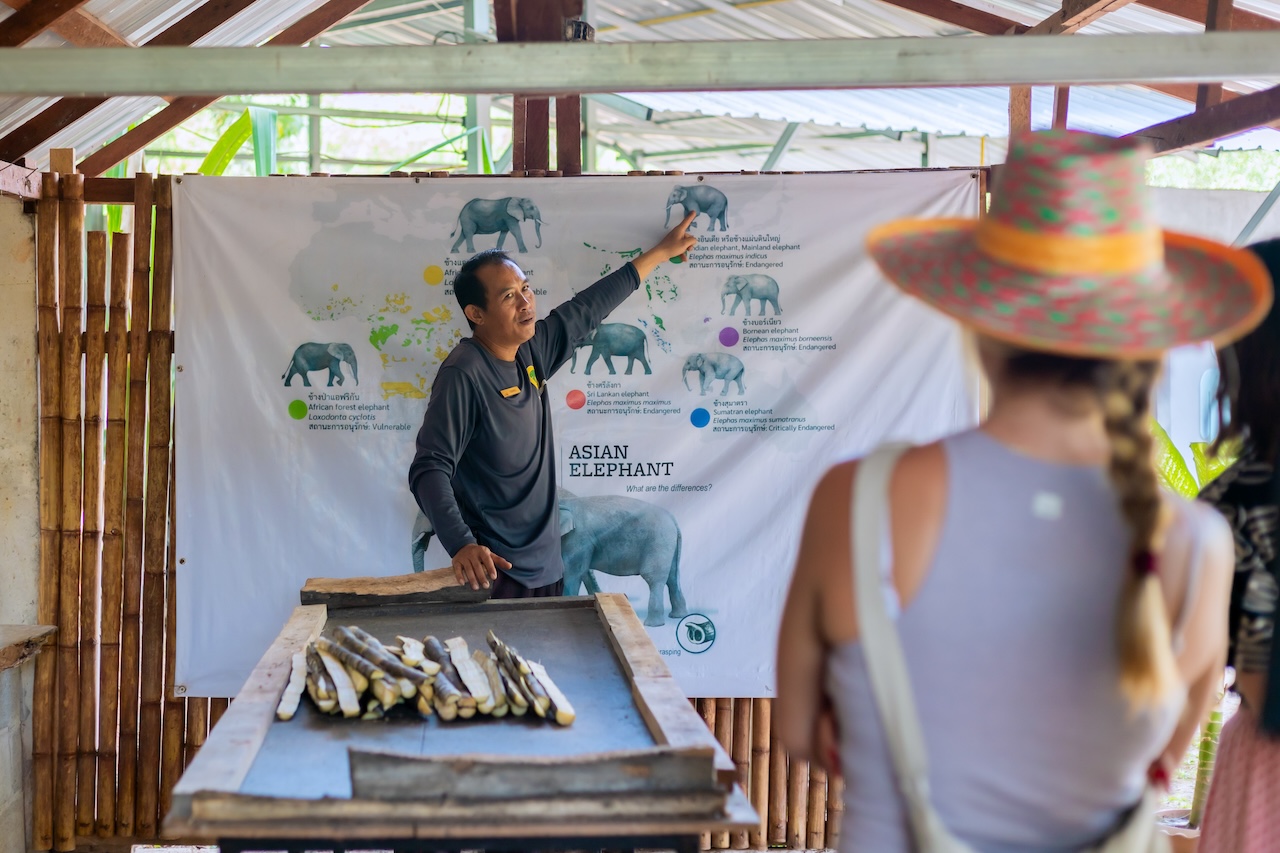 Phuket: Ethical Elephant Sanctuary Experience Phuket: Ethical Elephant Sanctuary Experience